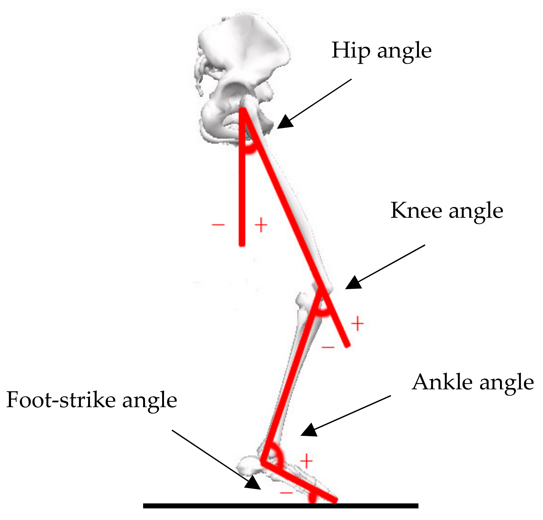 Ijerph 17 00818 g003