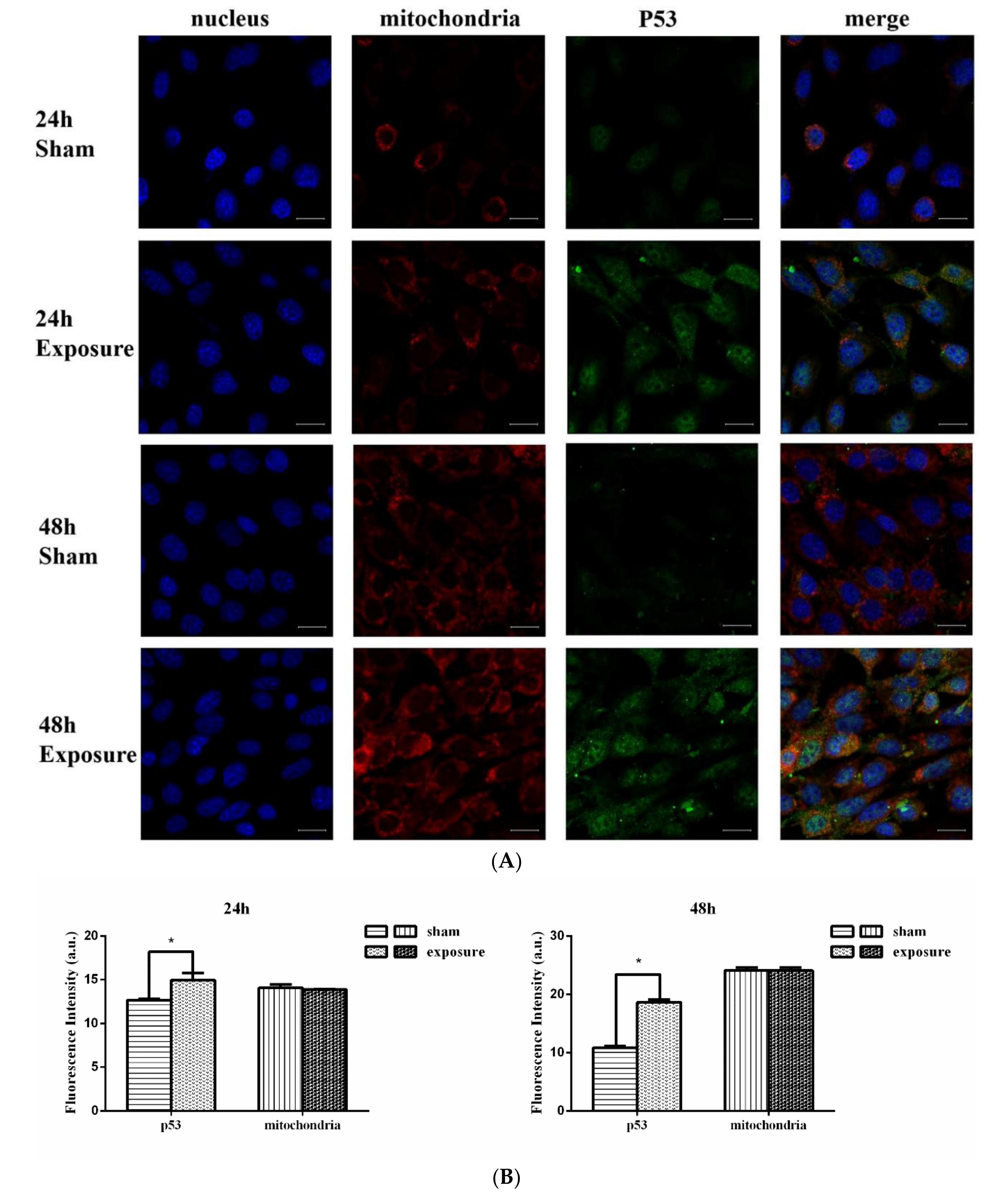 Ijerph 17 00819 g005