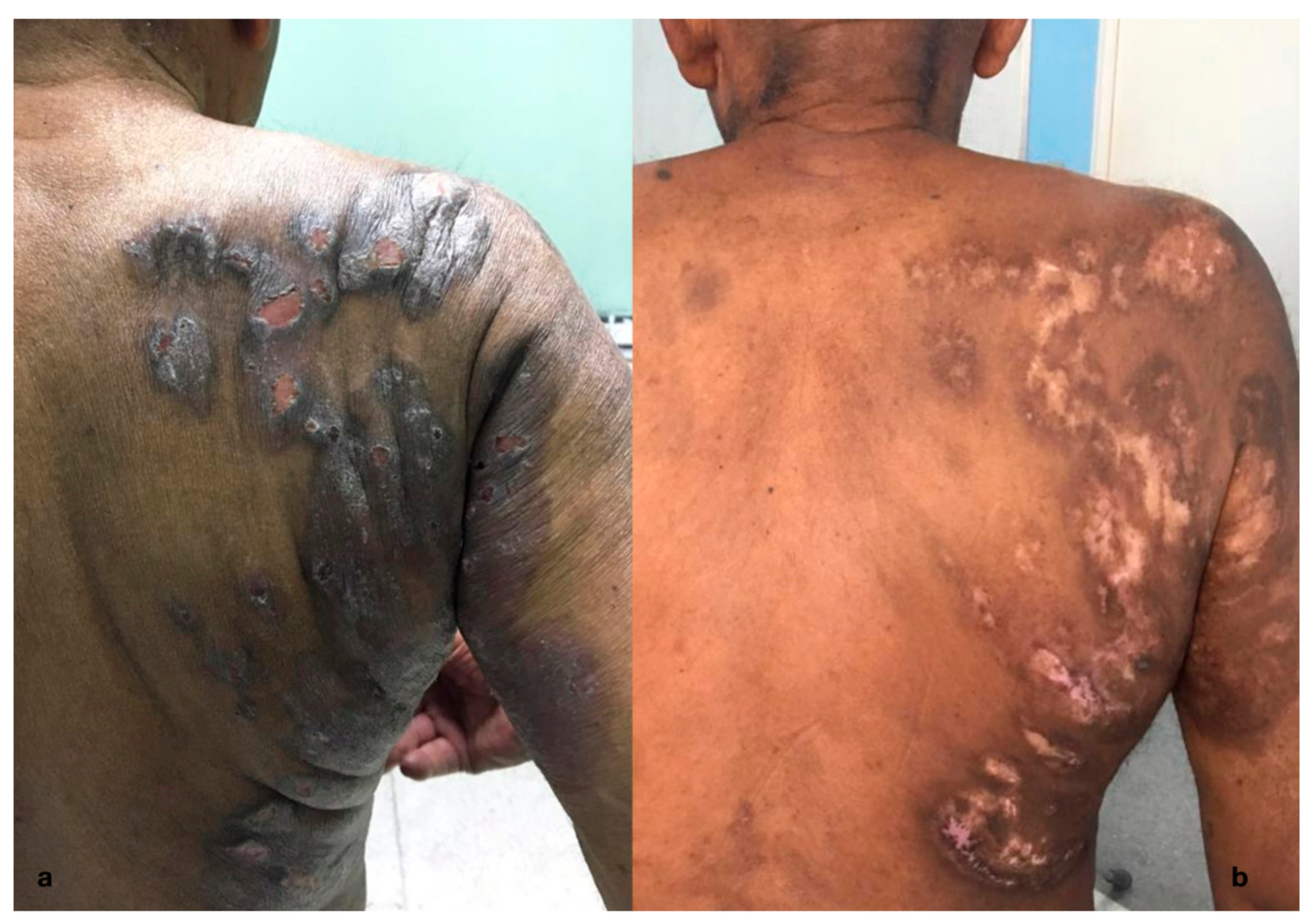 Ijerph 17 00839 g002