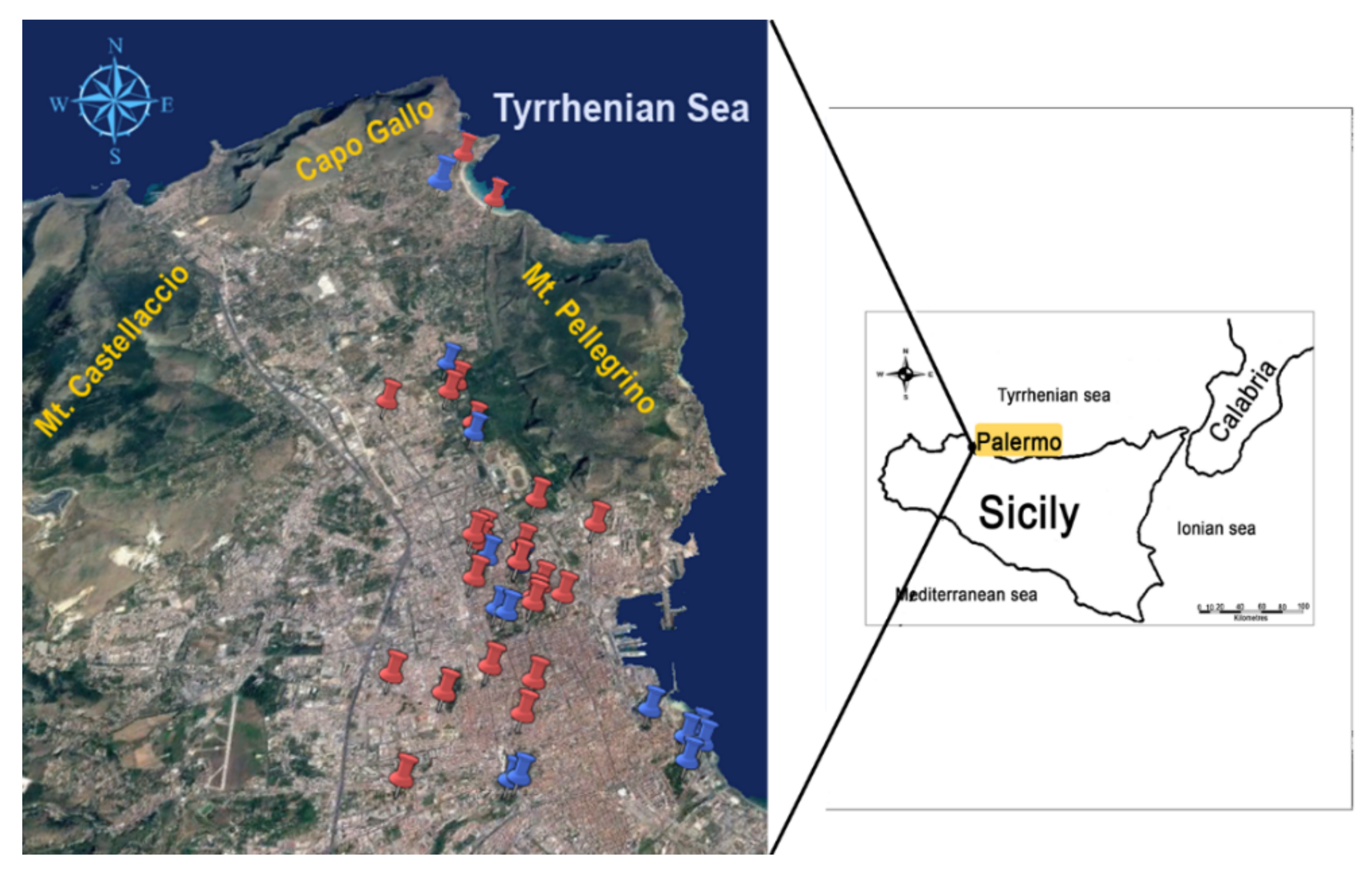 Ijerph 17 00881 g001