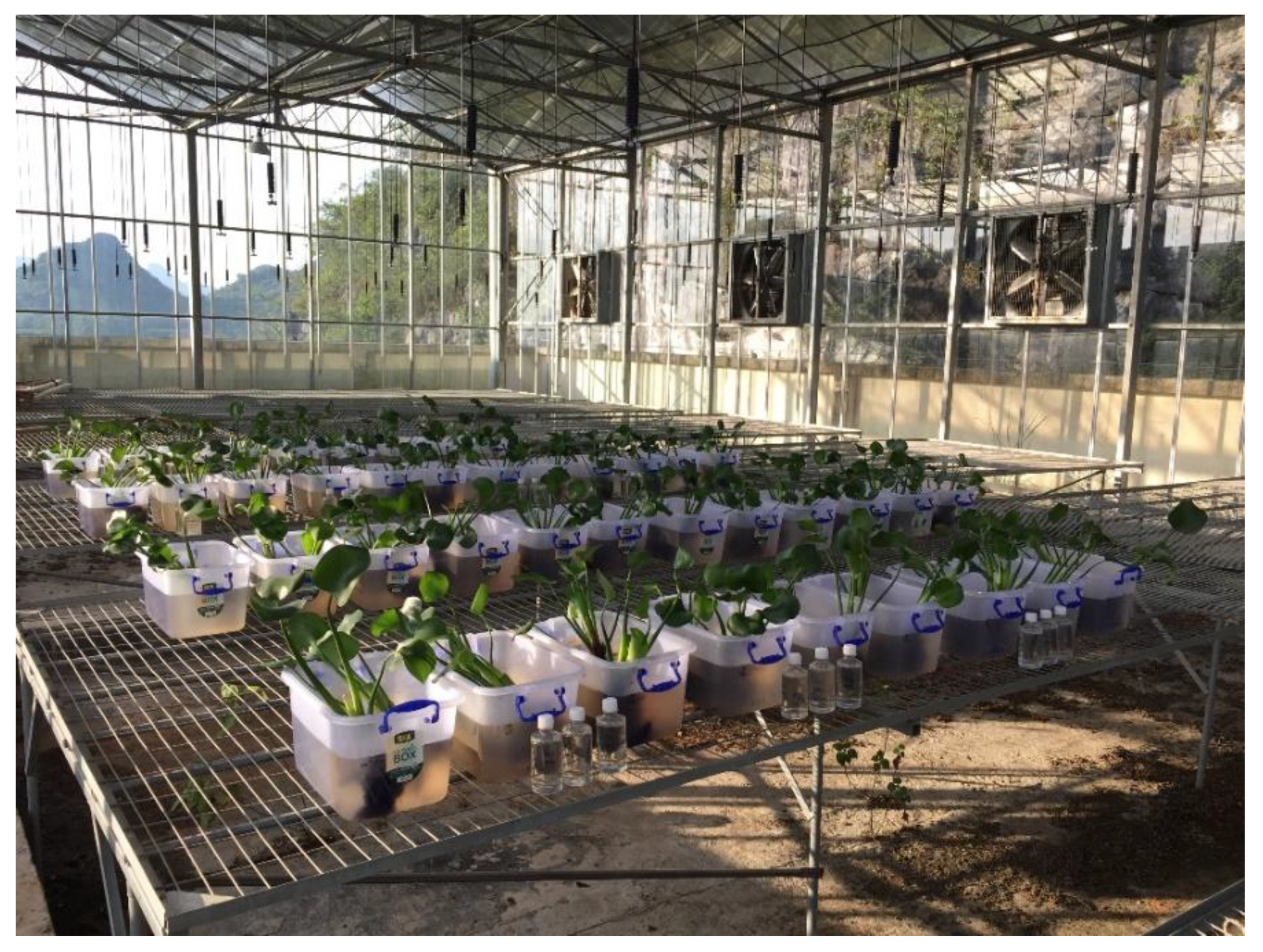 Ijerph 17 00928 g001