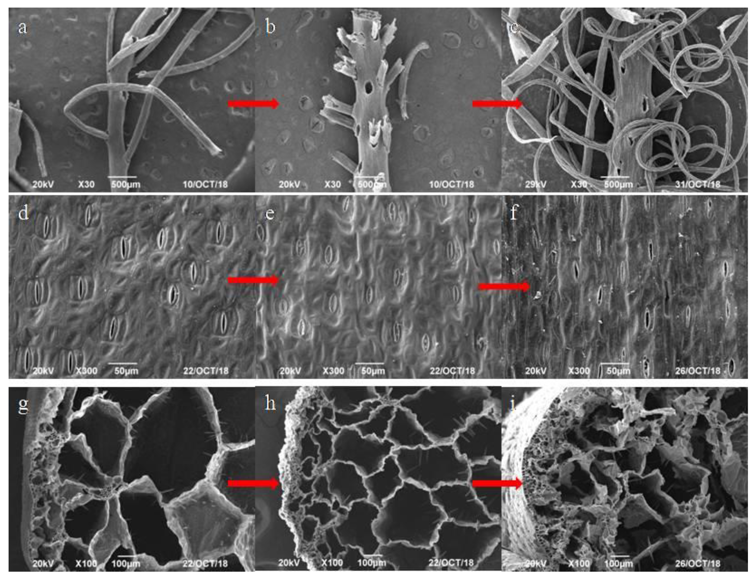 Ijerph 17 00928 g003