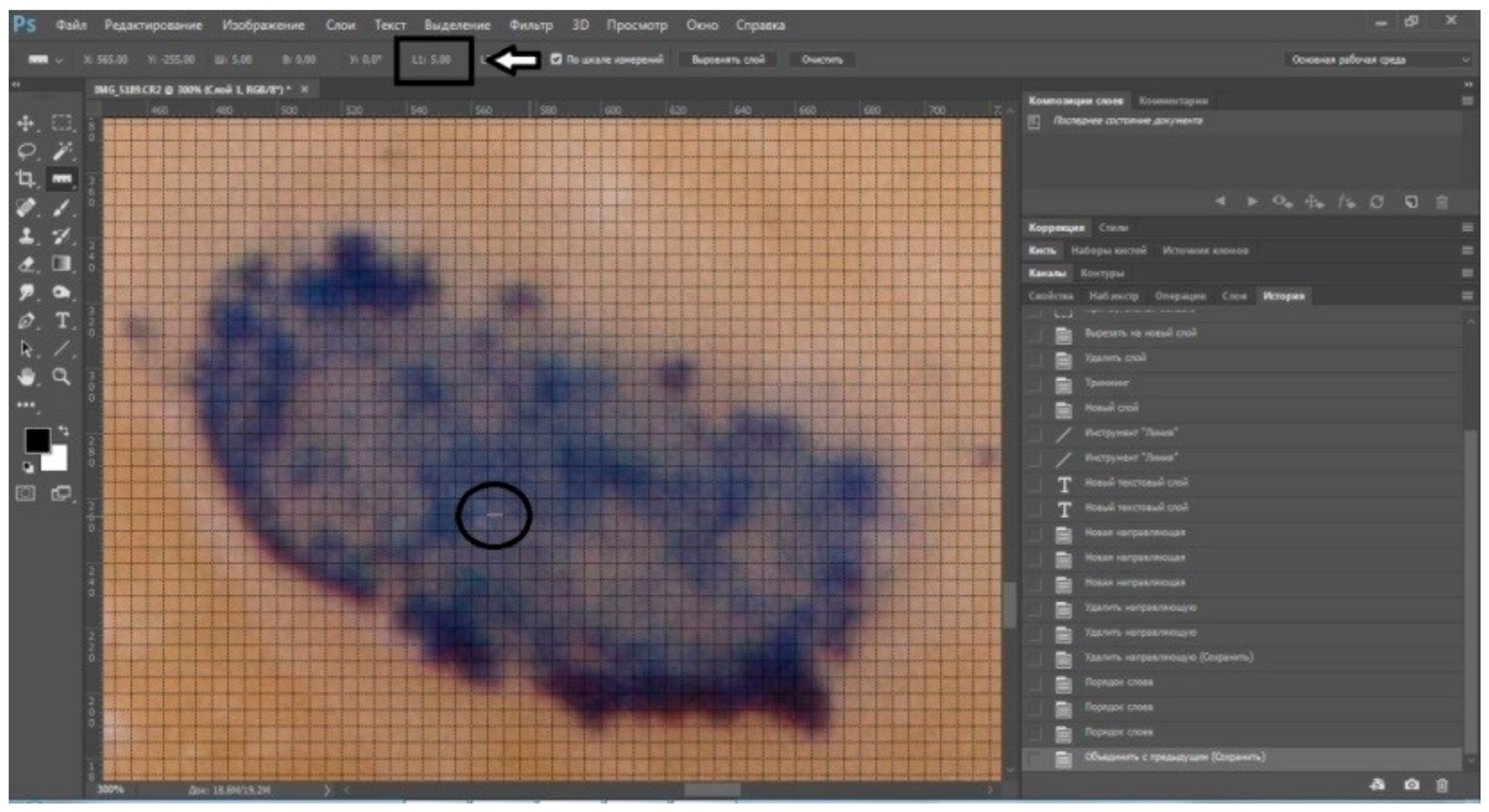 Ijerph 17 00933 g001