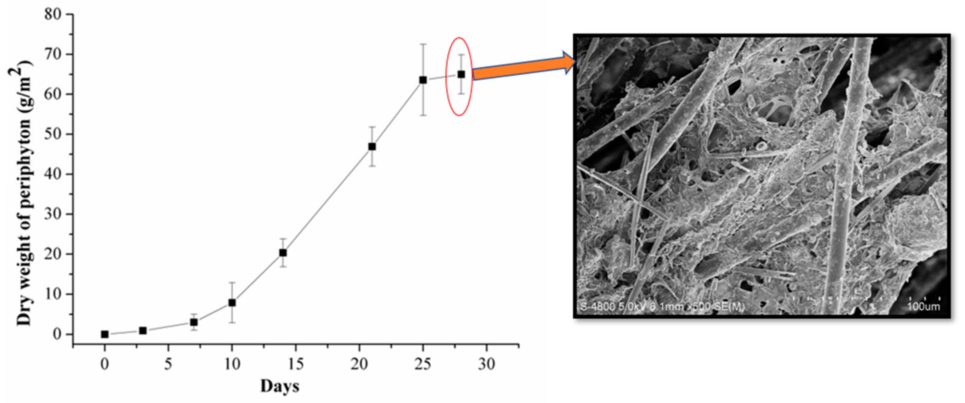 Ijerph 17 00941 g001
