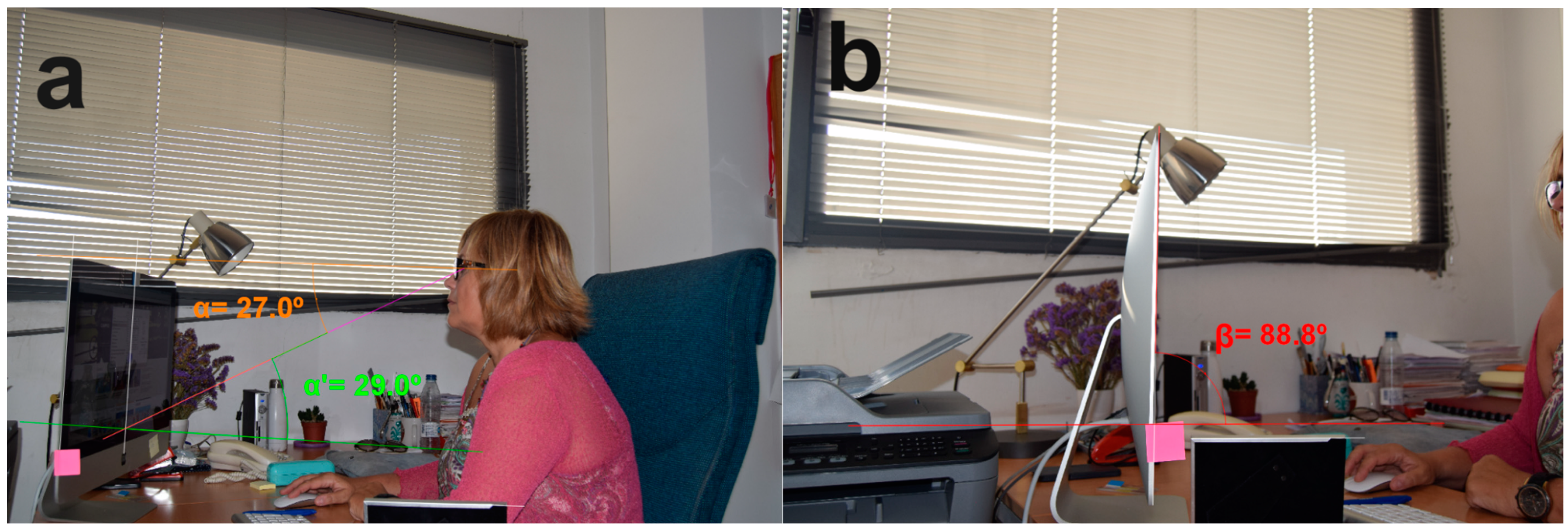 Ijerph 17 01003 g001