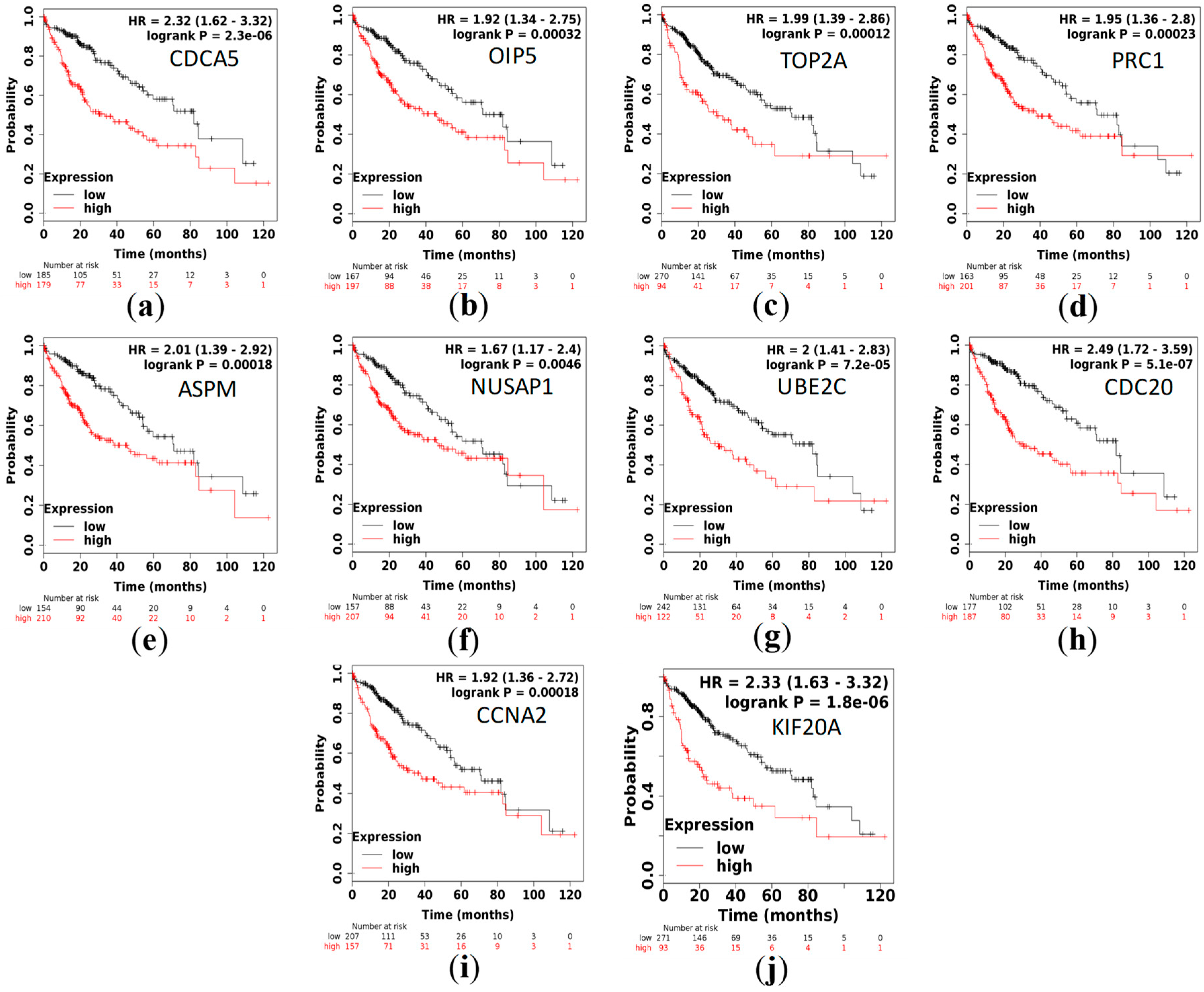 Ijerph 17 01053 g005