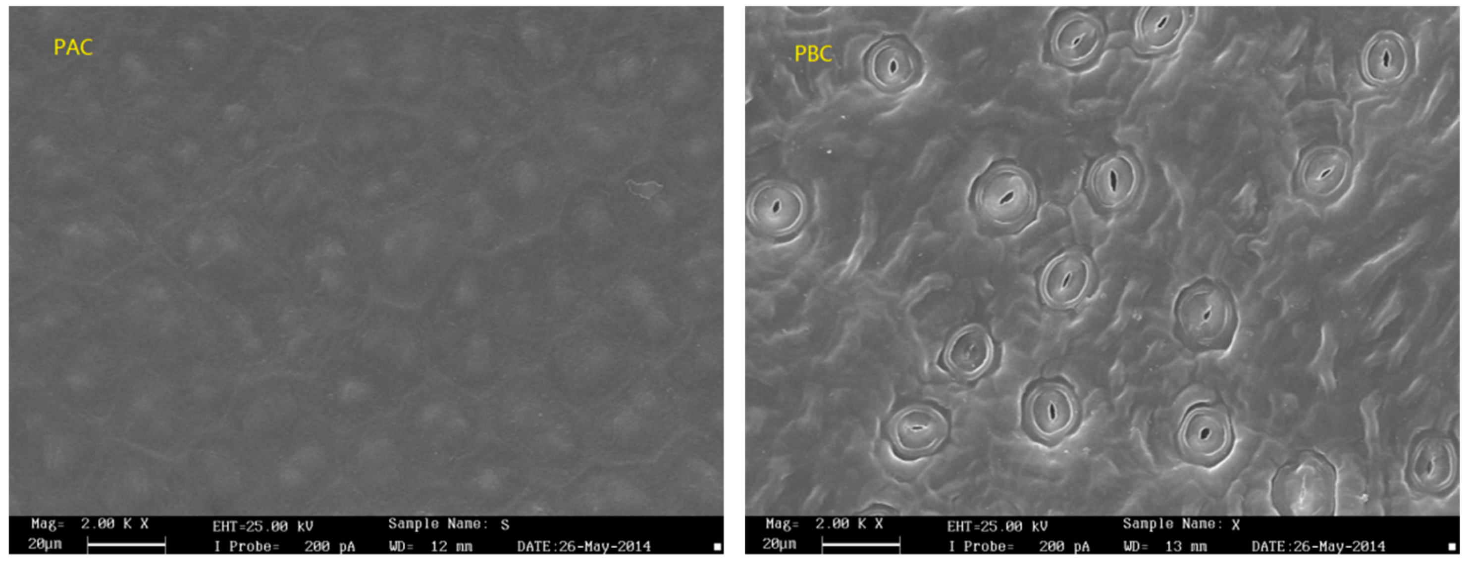 Ijerph 17 01061 g002