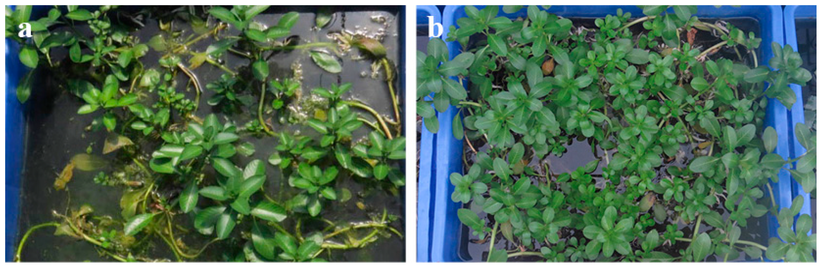 Ijerph 17 01103 g002 Ijerph 17 01103 g002