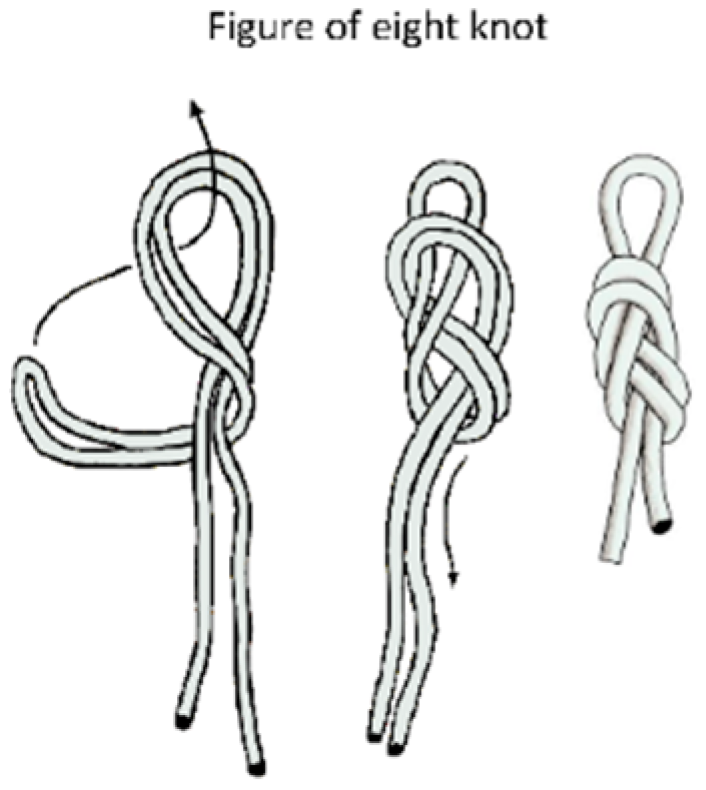 Ijerph 17 01107 g003