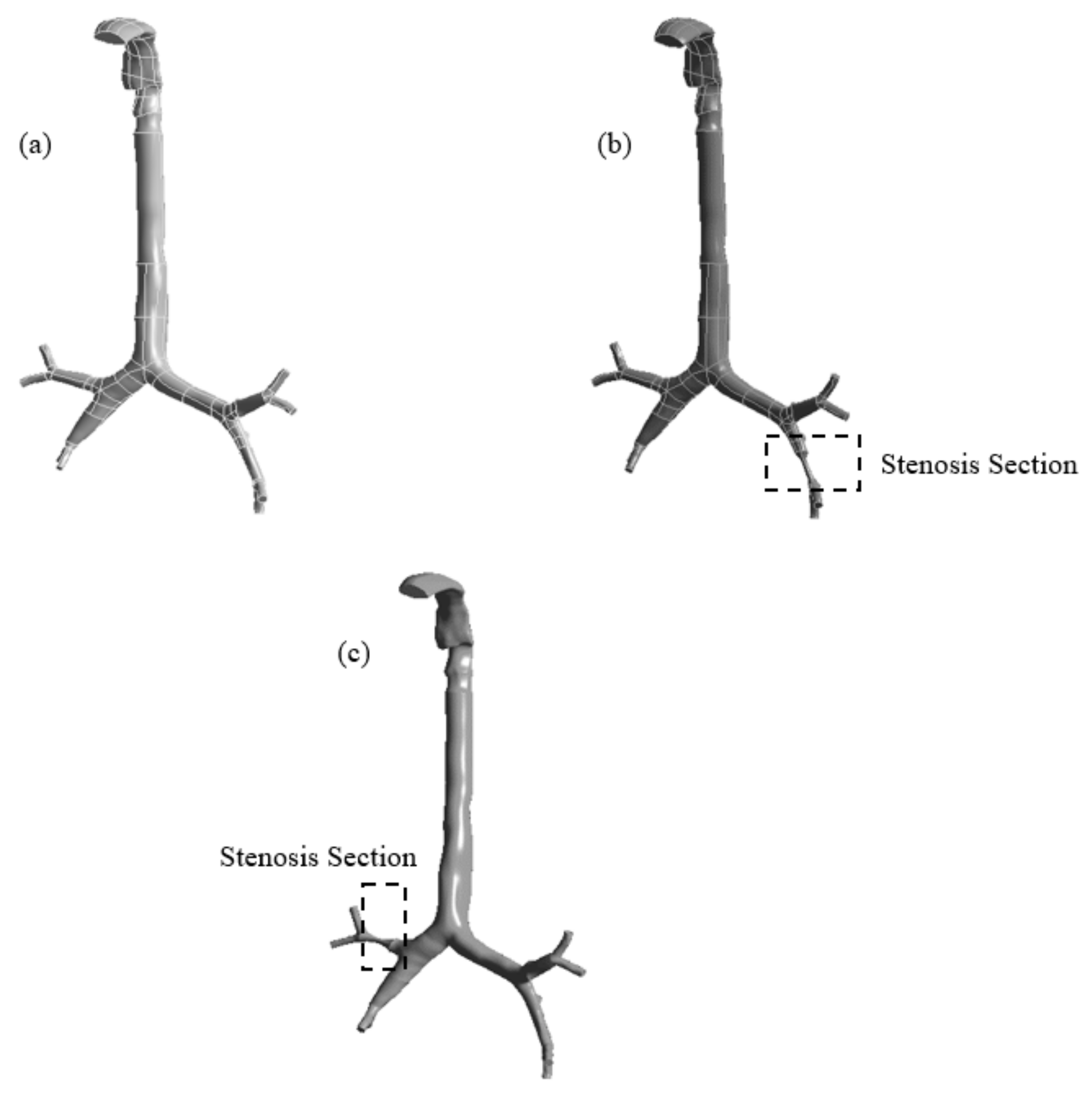 Ijerph 17 01119 g001