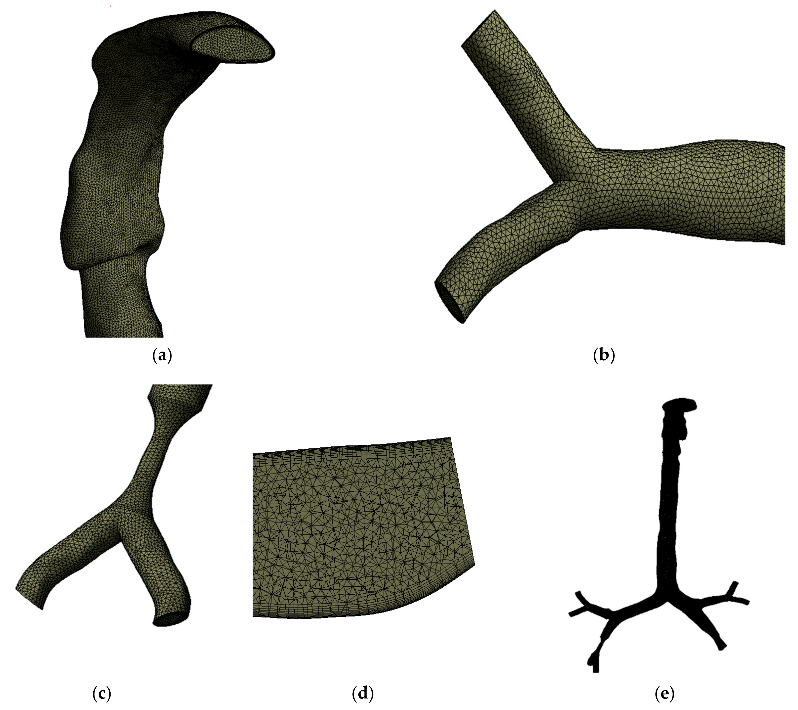 Ijerph 17 01119 g002