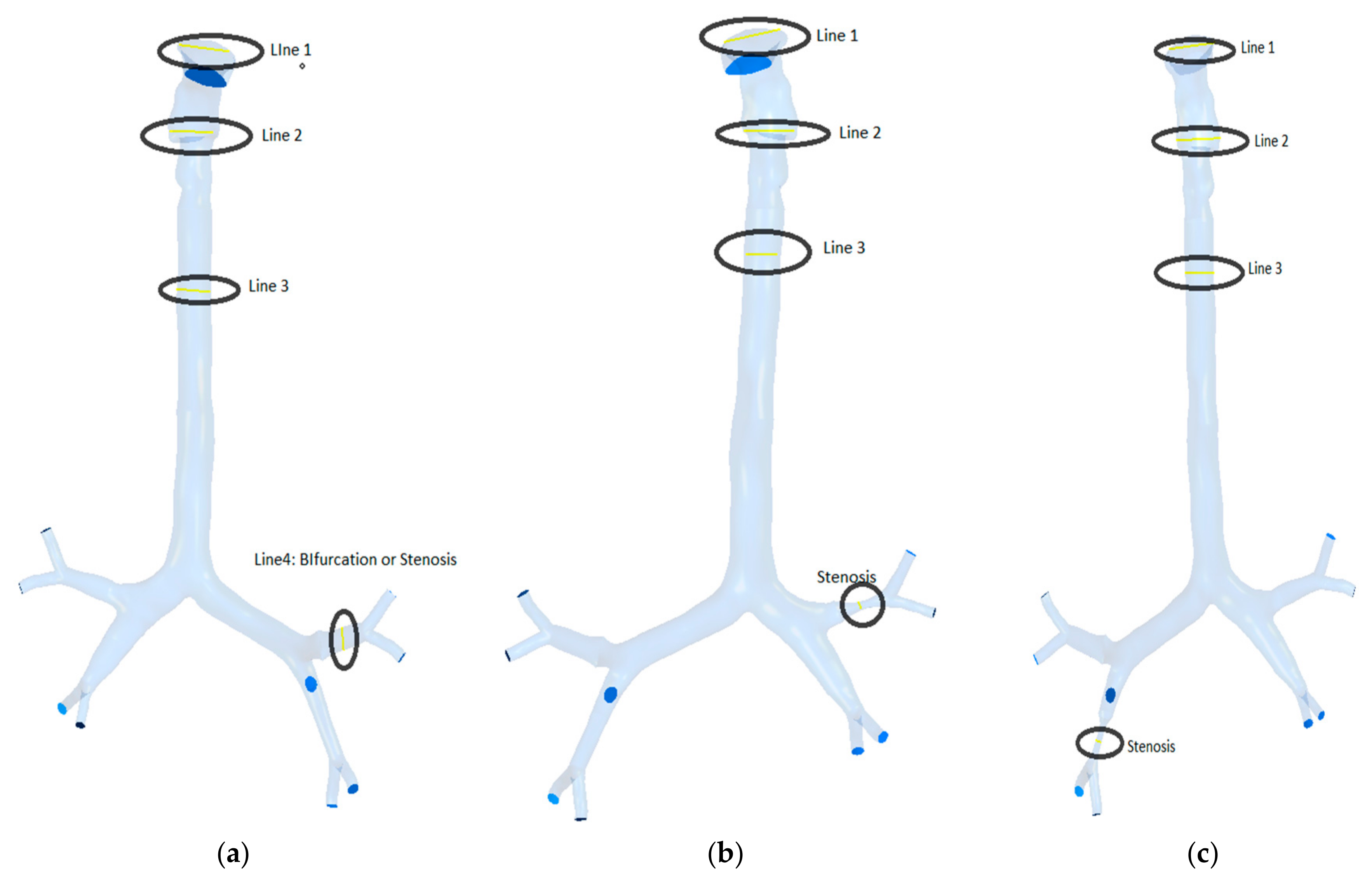 Ijerph 17 01119 g004