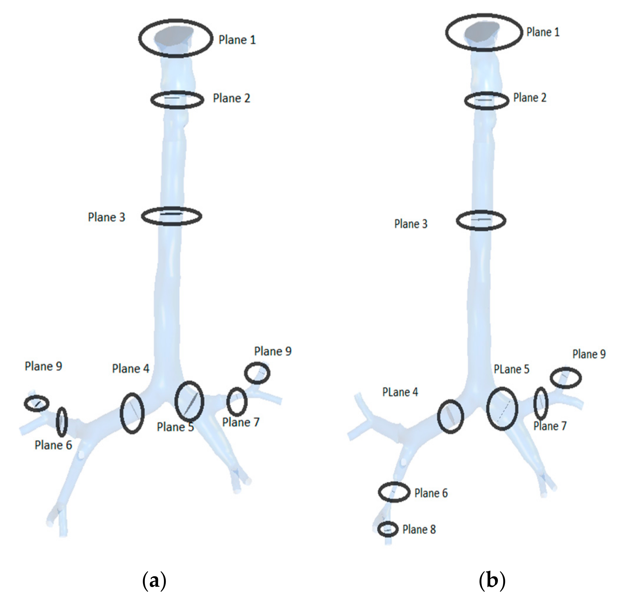 Ijerph 17 01119 g007