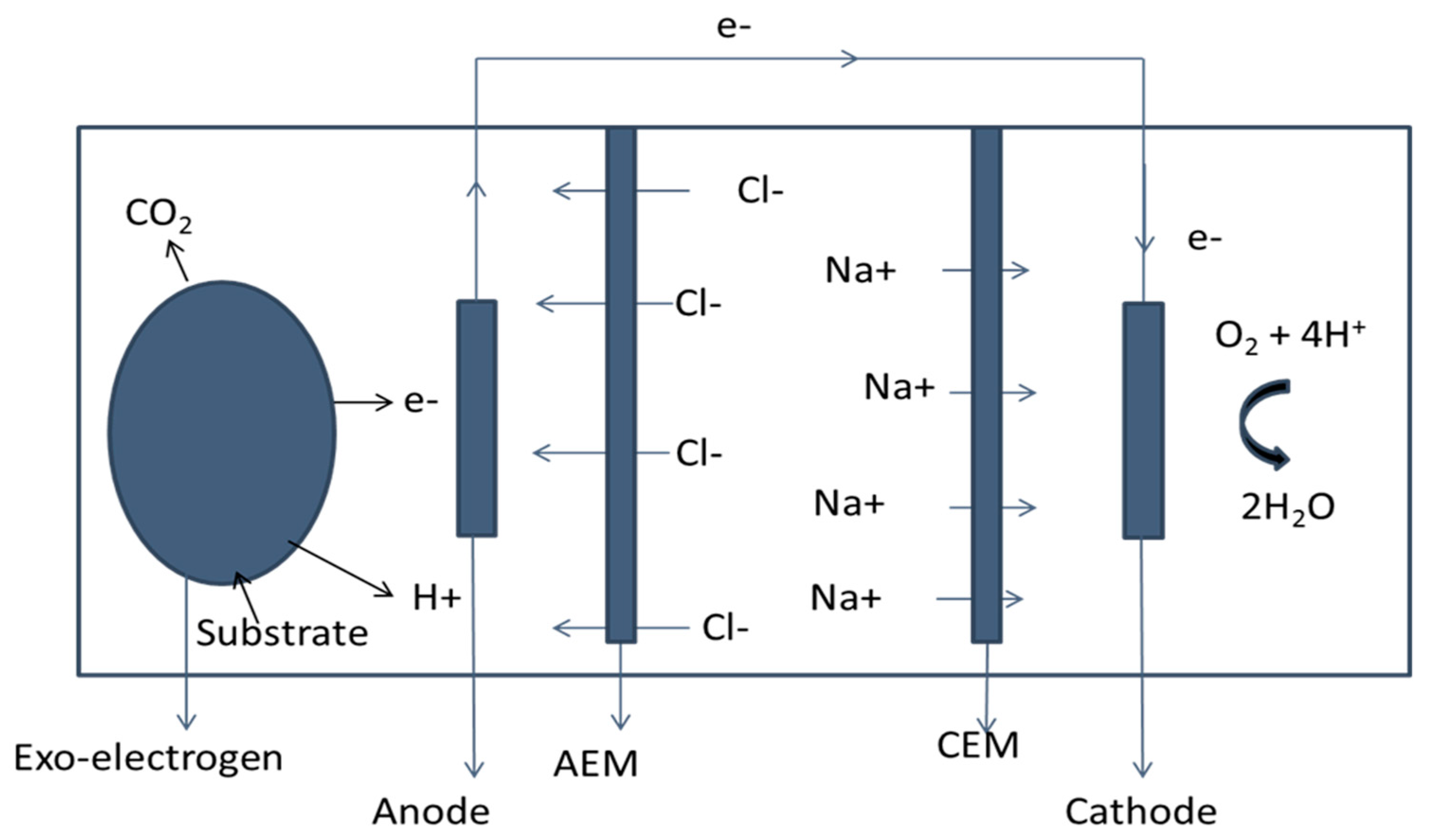 Ijerph 17 01121 g001 Ijerph 17 01121 g001