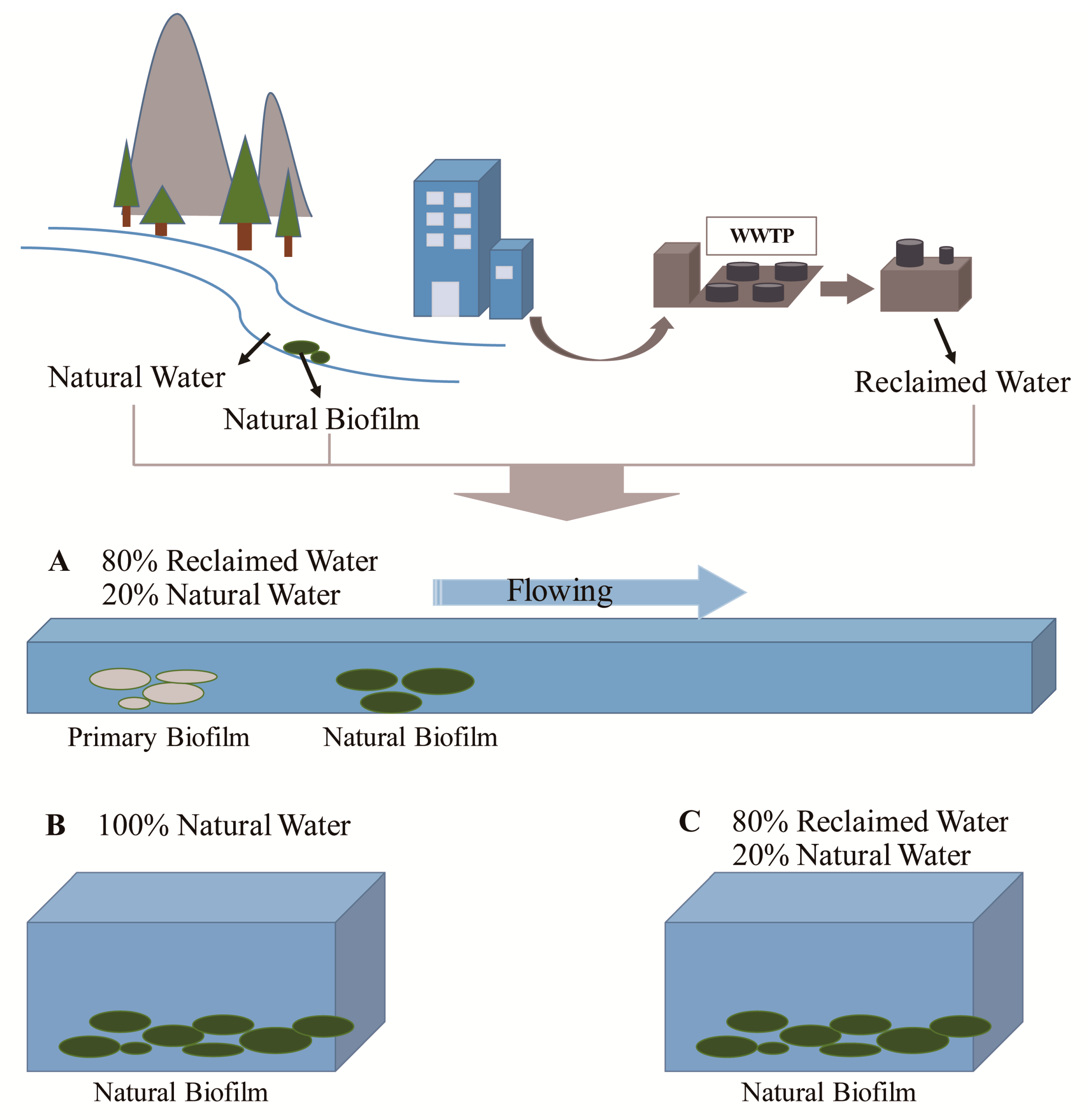 Ijerph 17 01174 g001