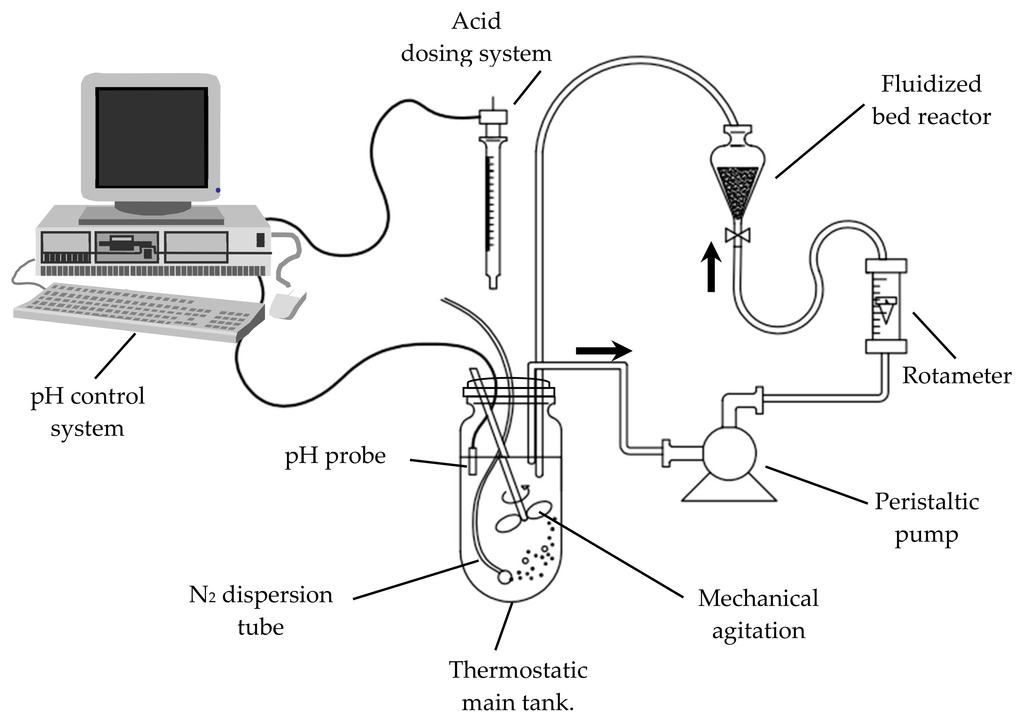 Ijerph 17 01241 g001