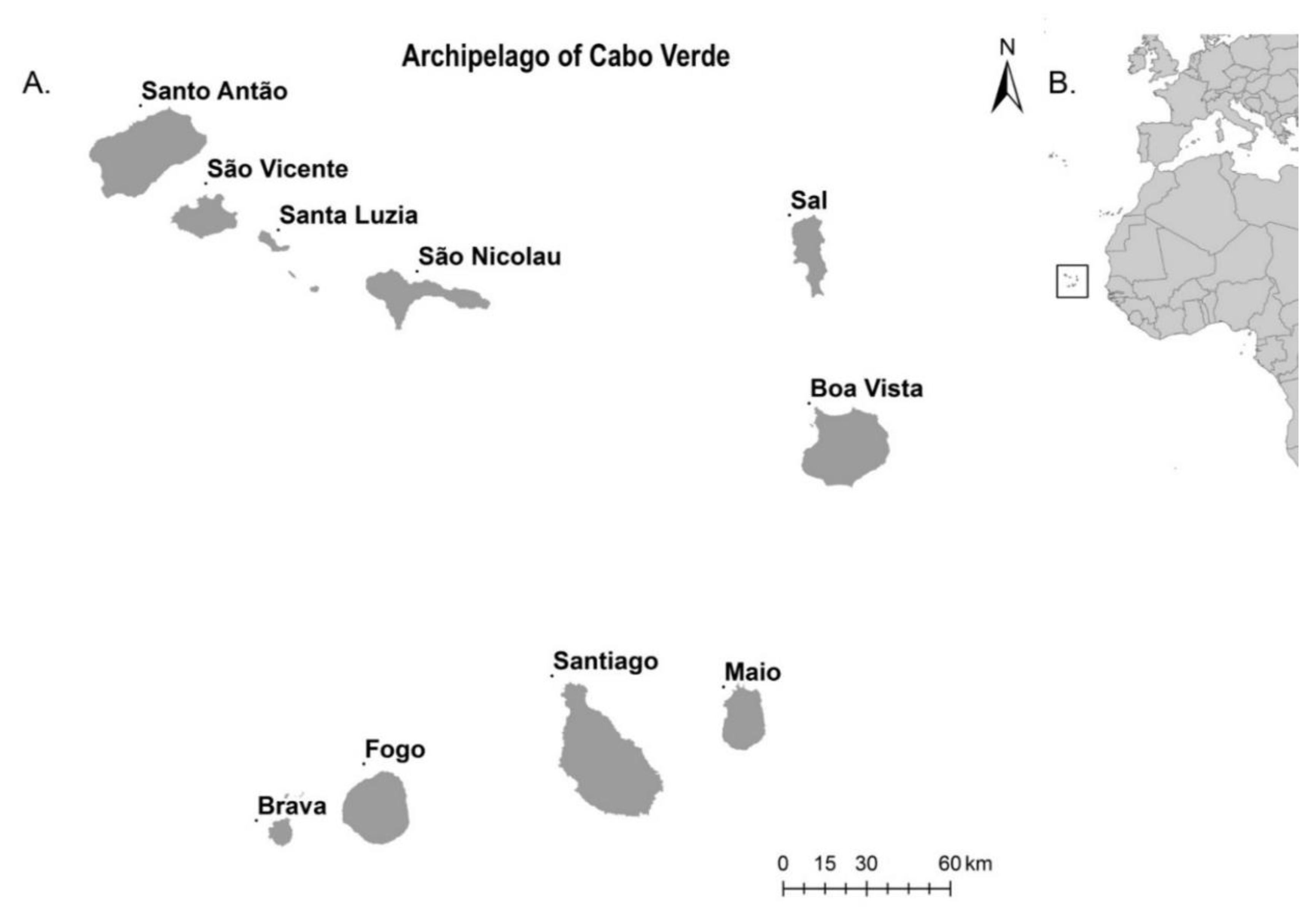 | Free Full-Text | Abundance and Updated of Aedes aegypti (Diptera: Culicidae) Cabo Verde Archipelago: A Neglected Threat to Public Health