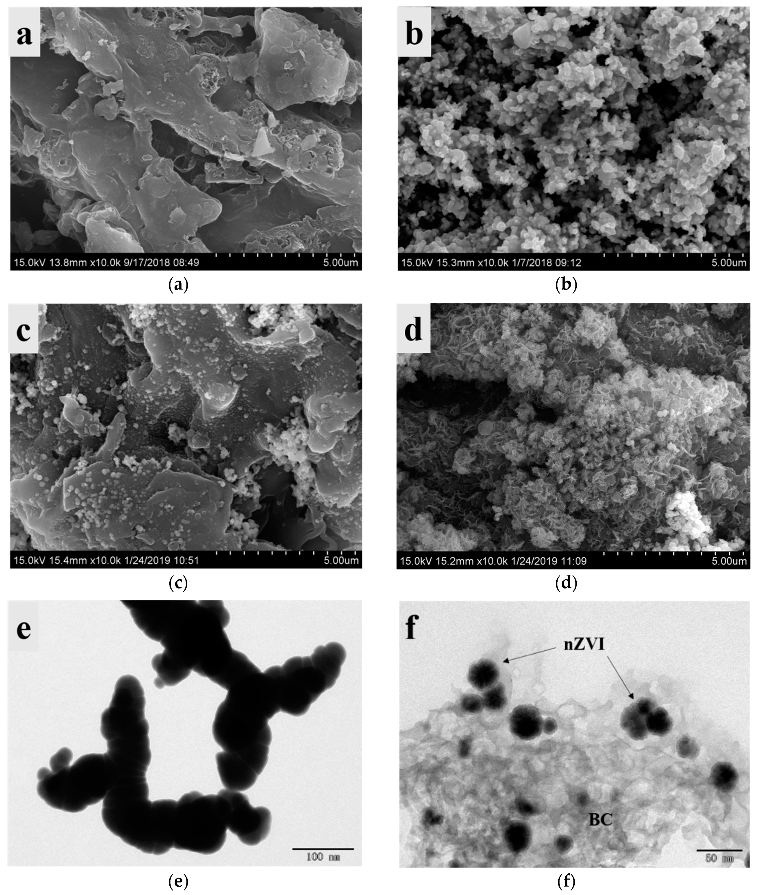 Ijerph 17 01324 g001 Ijerph 17 01324 g001