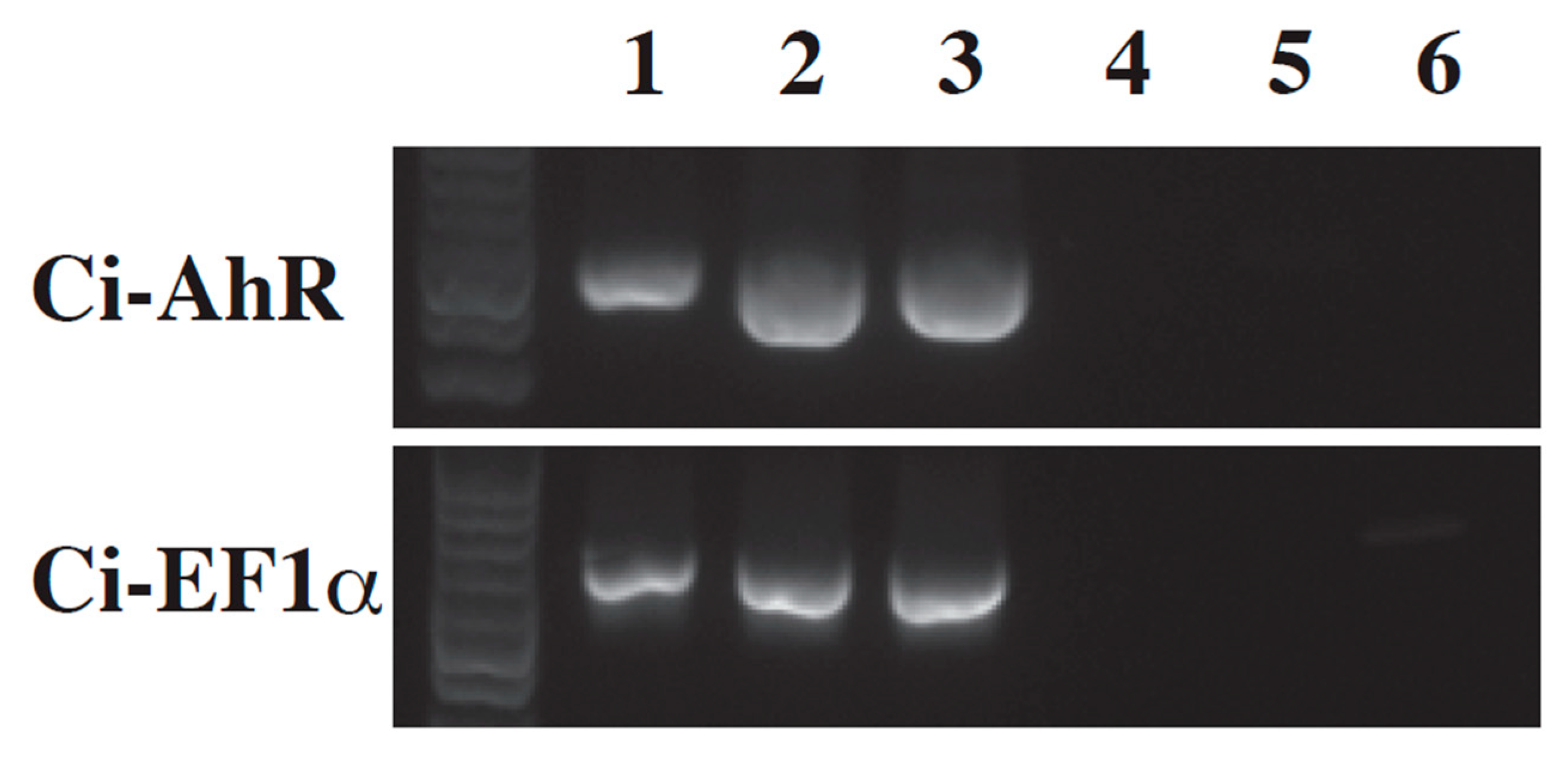 Ijerph 17 01340 g003