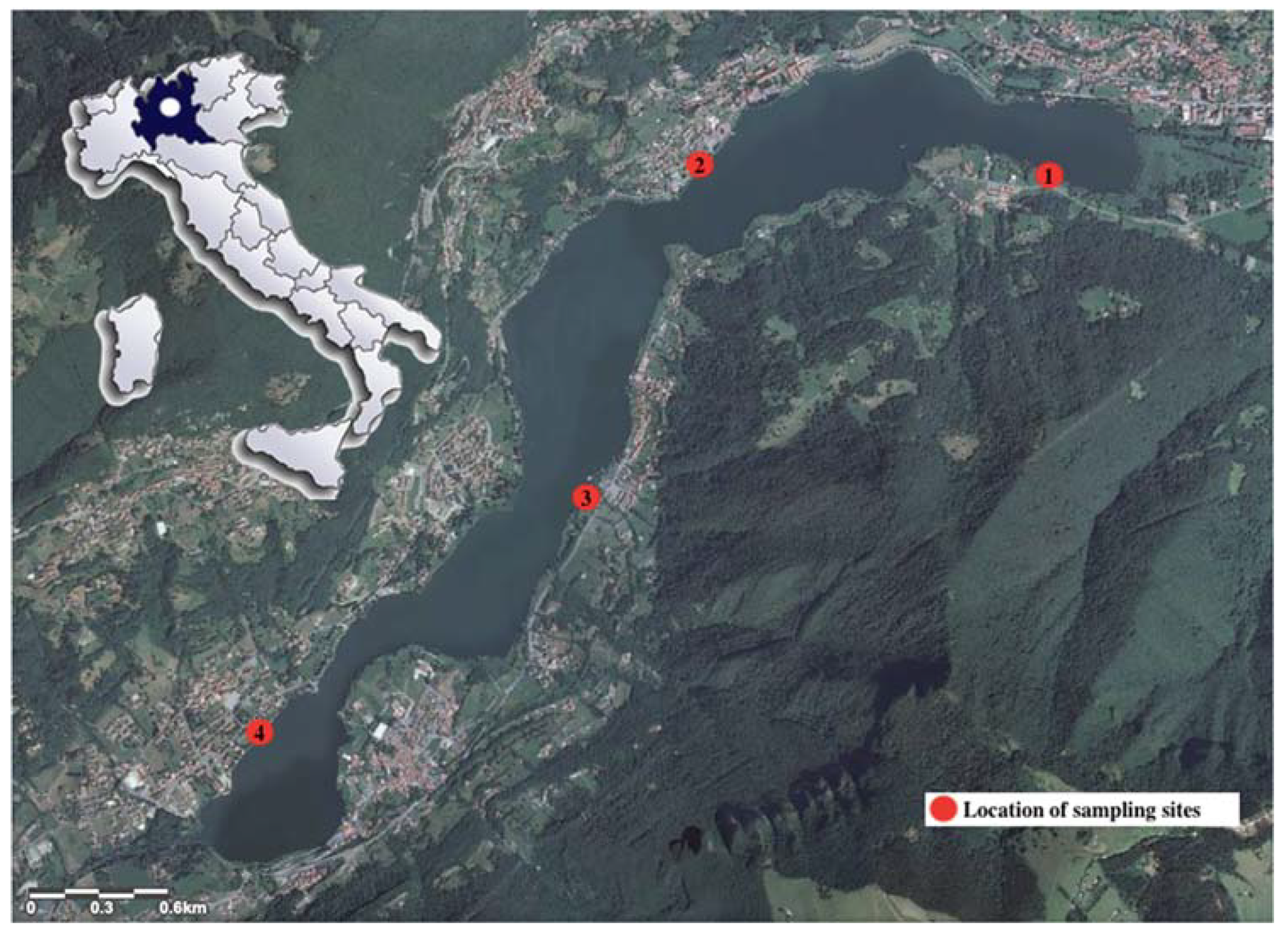 Ijerph 17 01389 g001