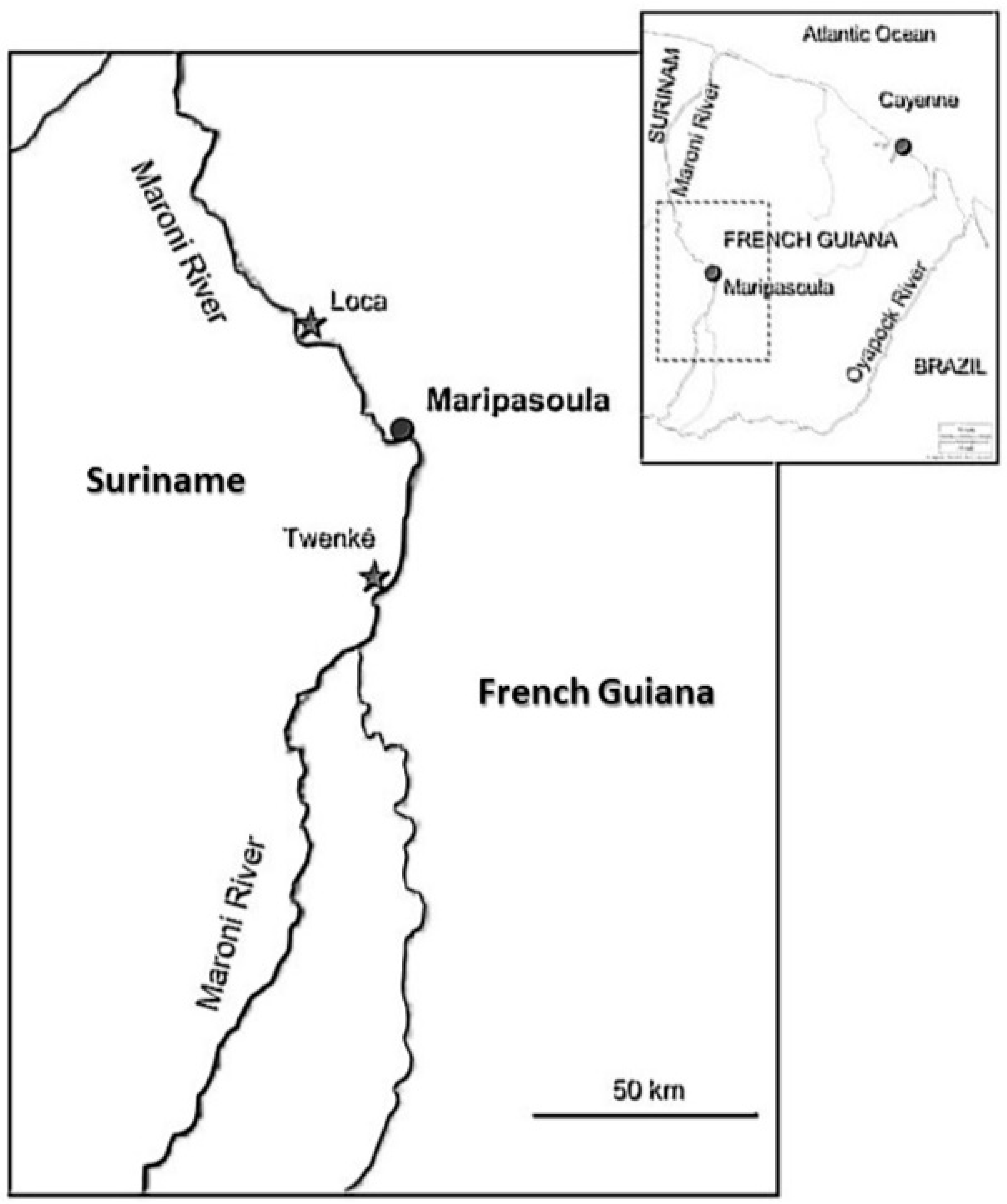 Ijerph 17 01420 g001