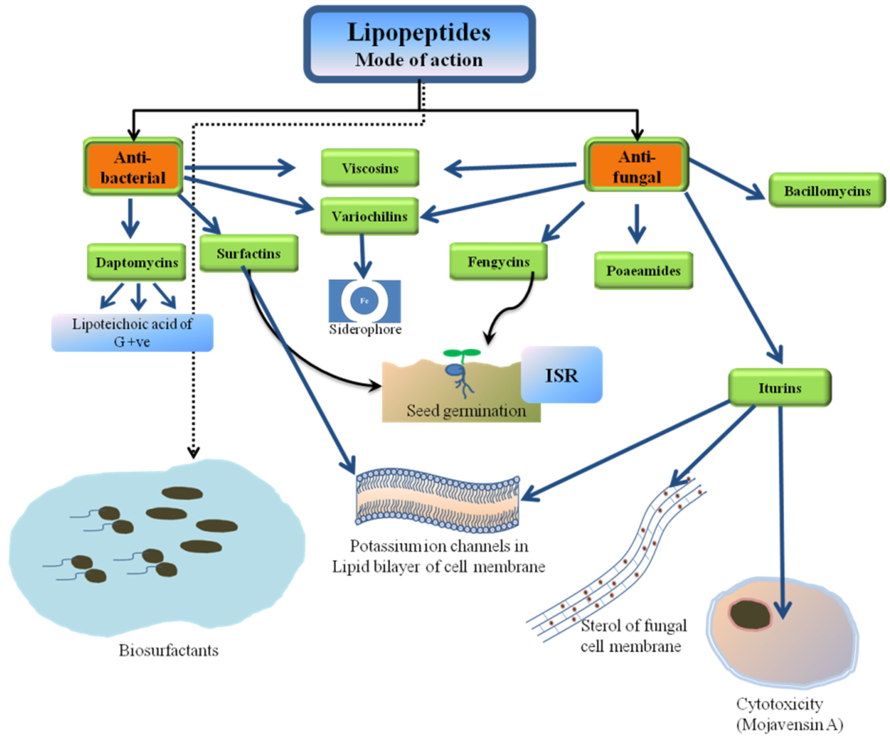Ijerph 17 01434 g003 Ijerph 17 01434 g003