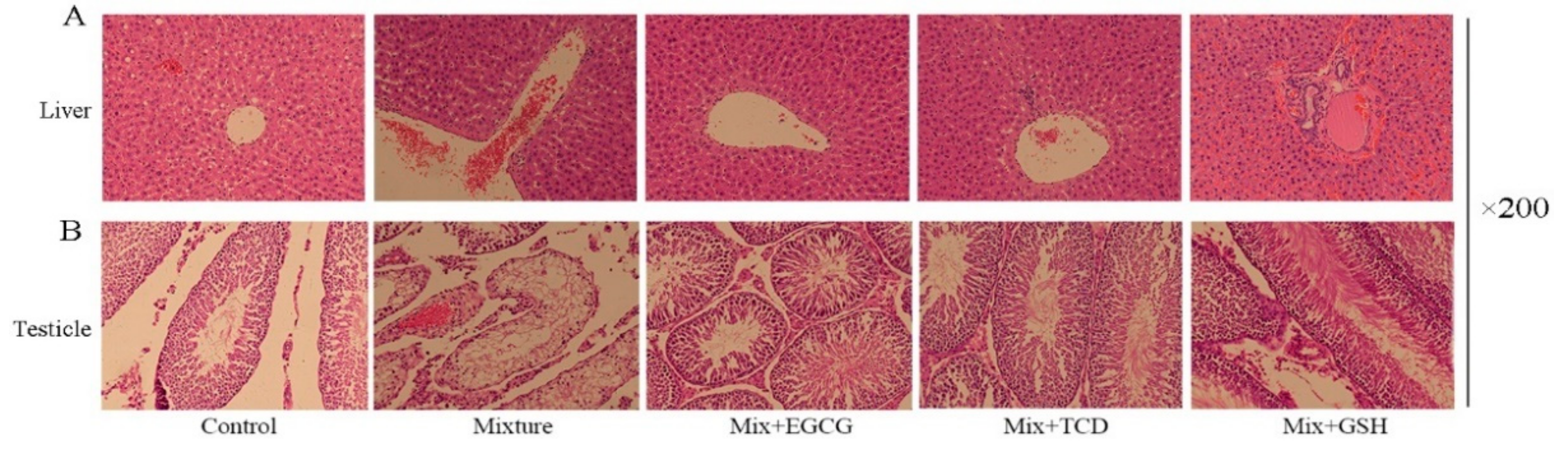 Ijerph 17 01451 g002