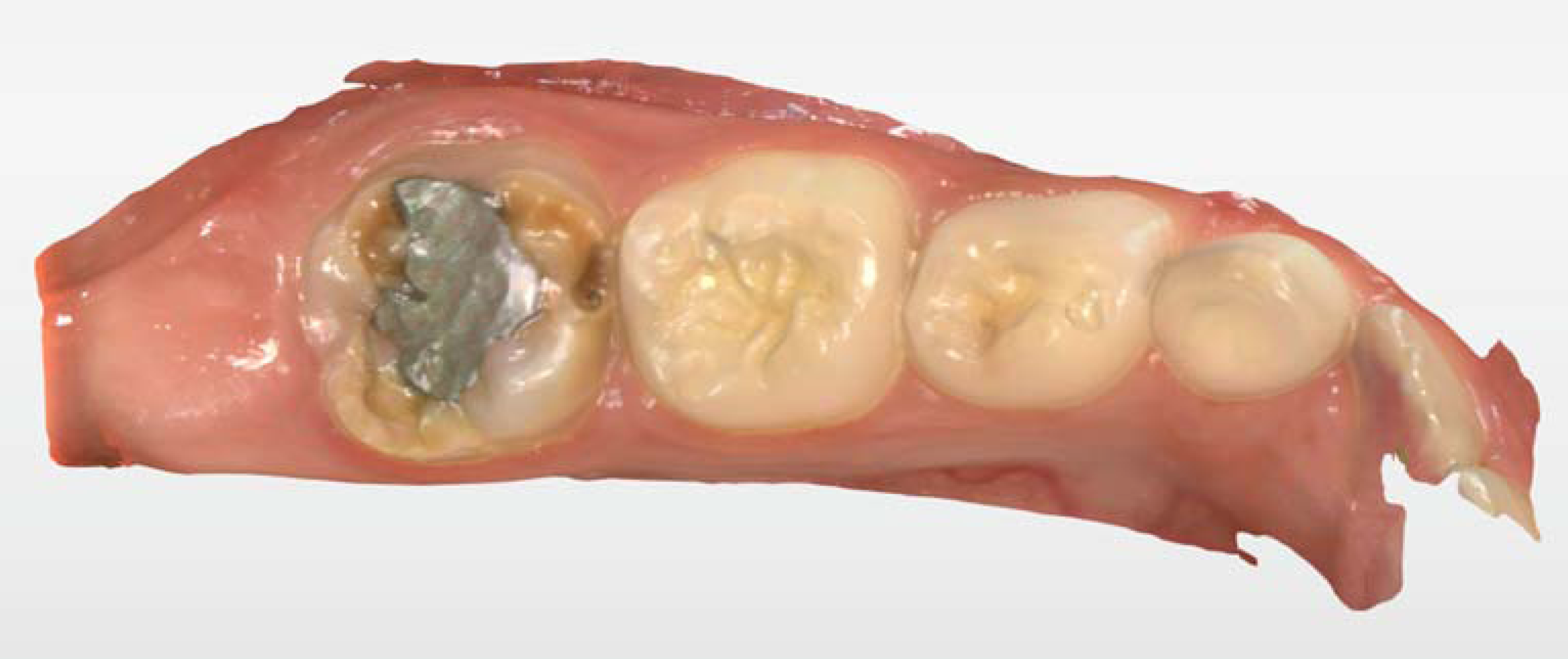 Ijerph 17 01499 g002