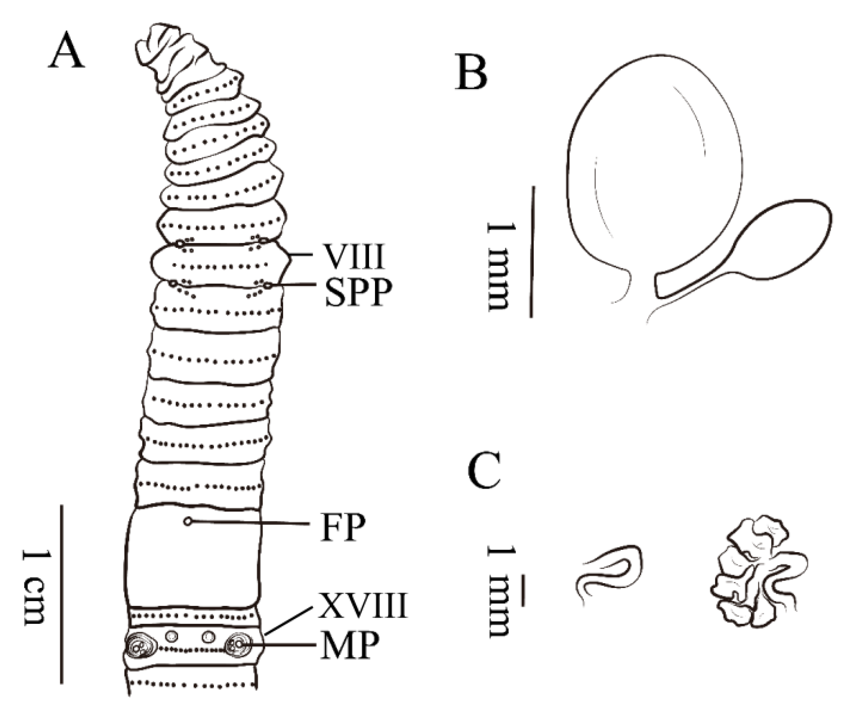 Ijerph 17 01538 g008 Ijerph 17 01538 g008