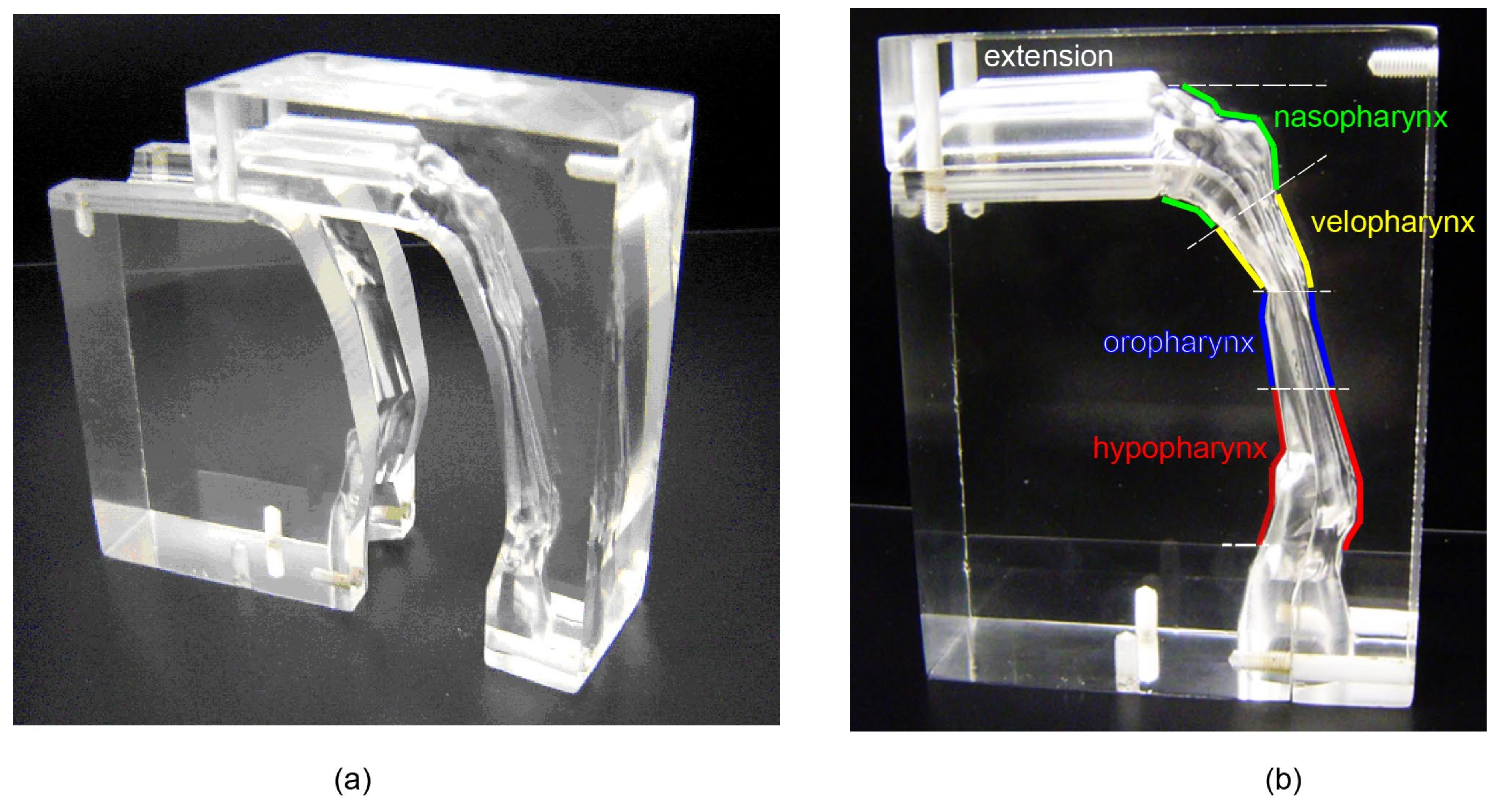 Ijerph 17 01556 g003