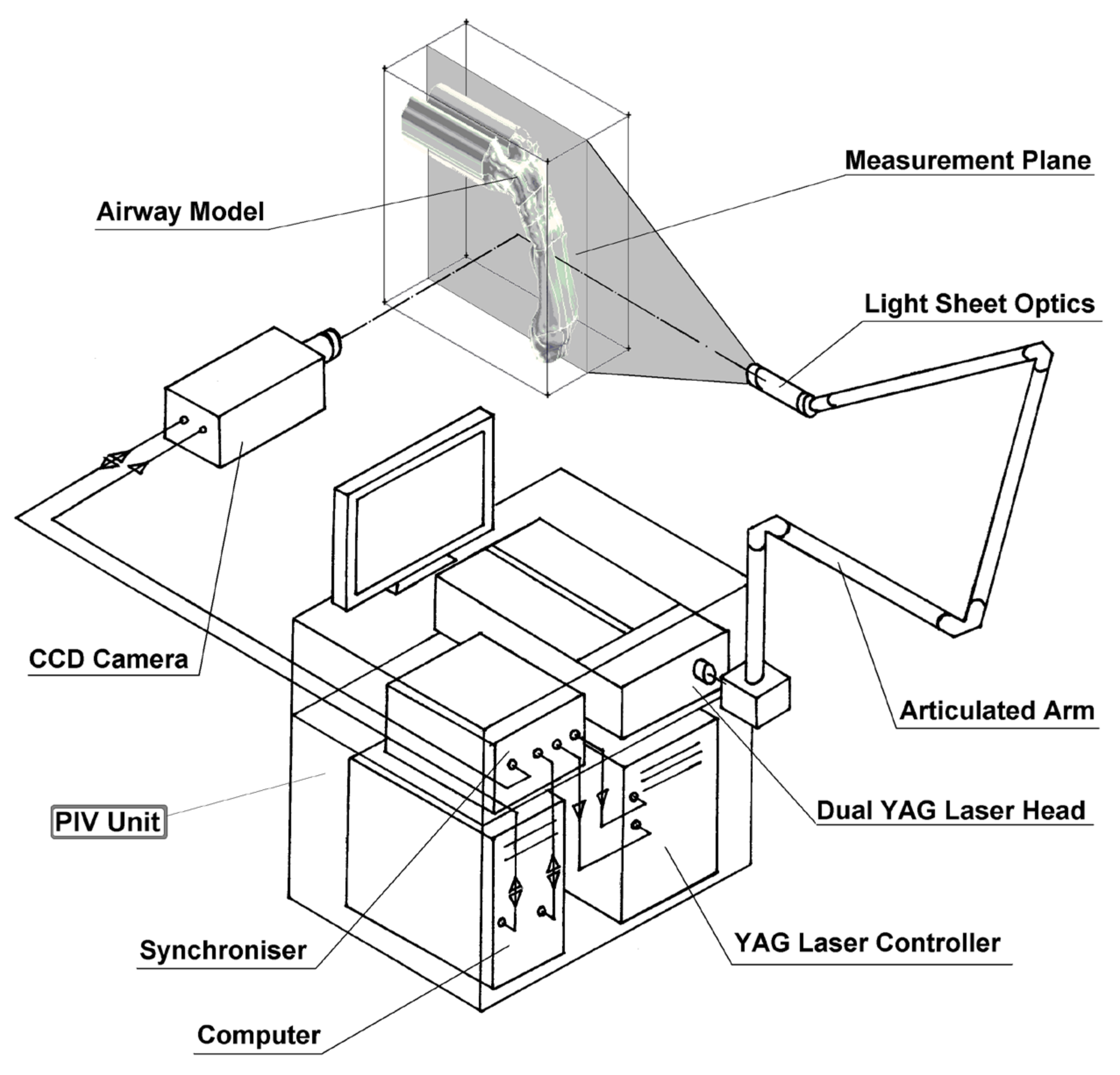 Ijerph 17 01556 g004