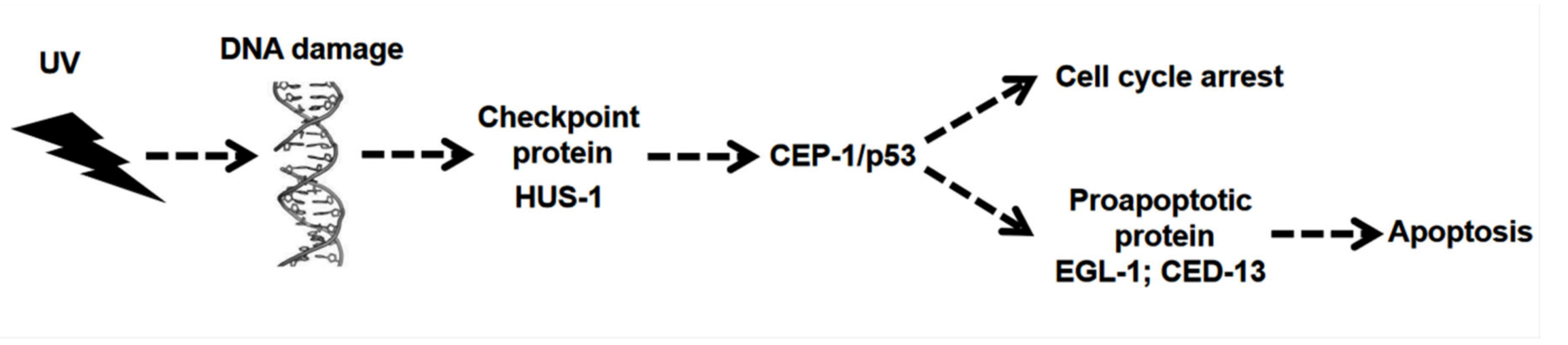 Ijerph 17 01572 g001