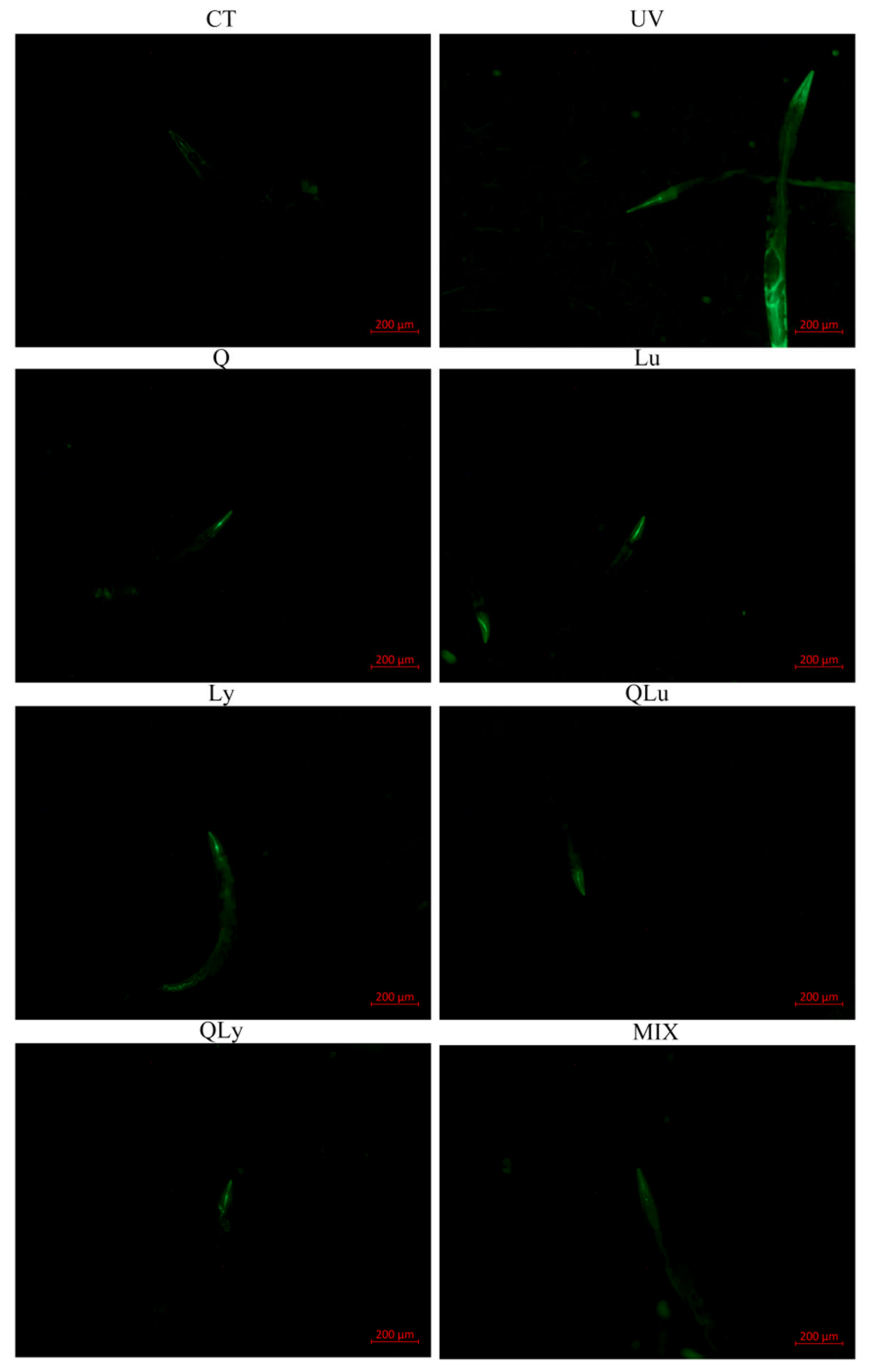 Ijerph 17 01572 g002a