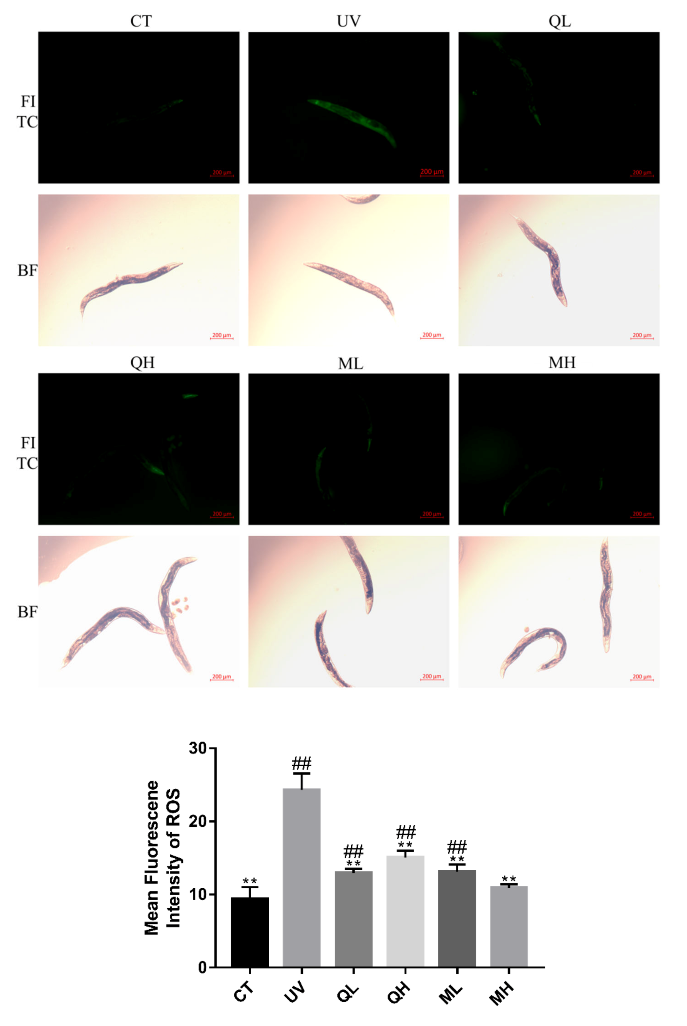 Ijerph 17 01572 g004
