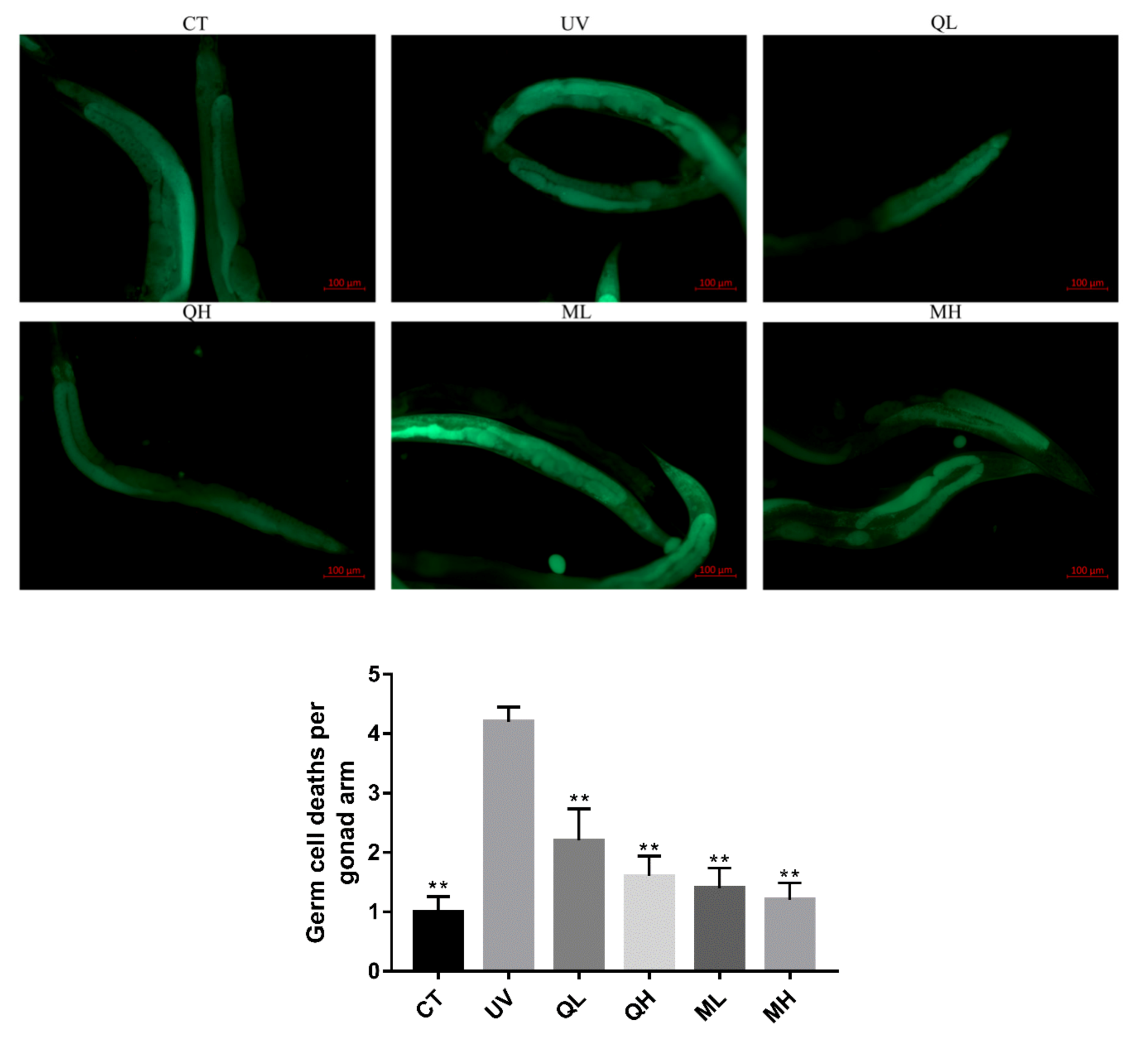 Ijerph 17 01572 g005