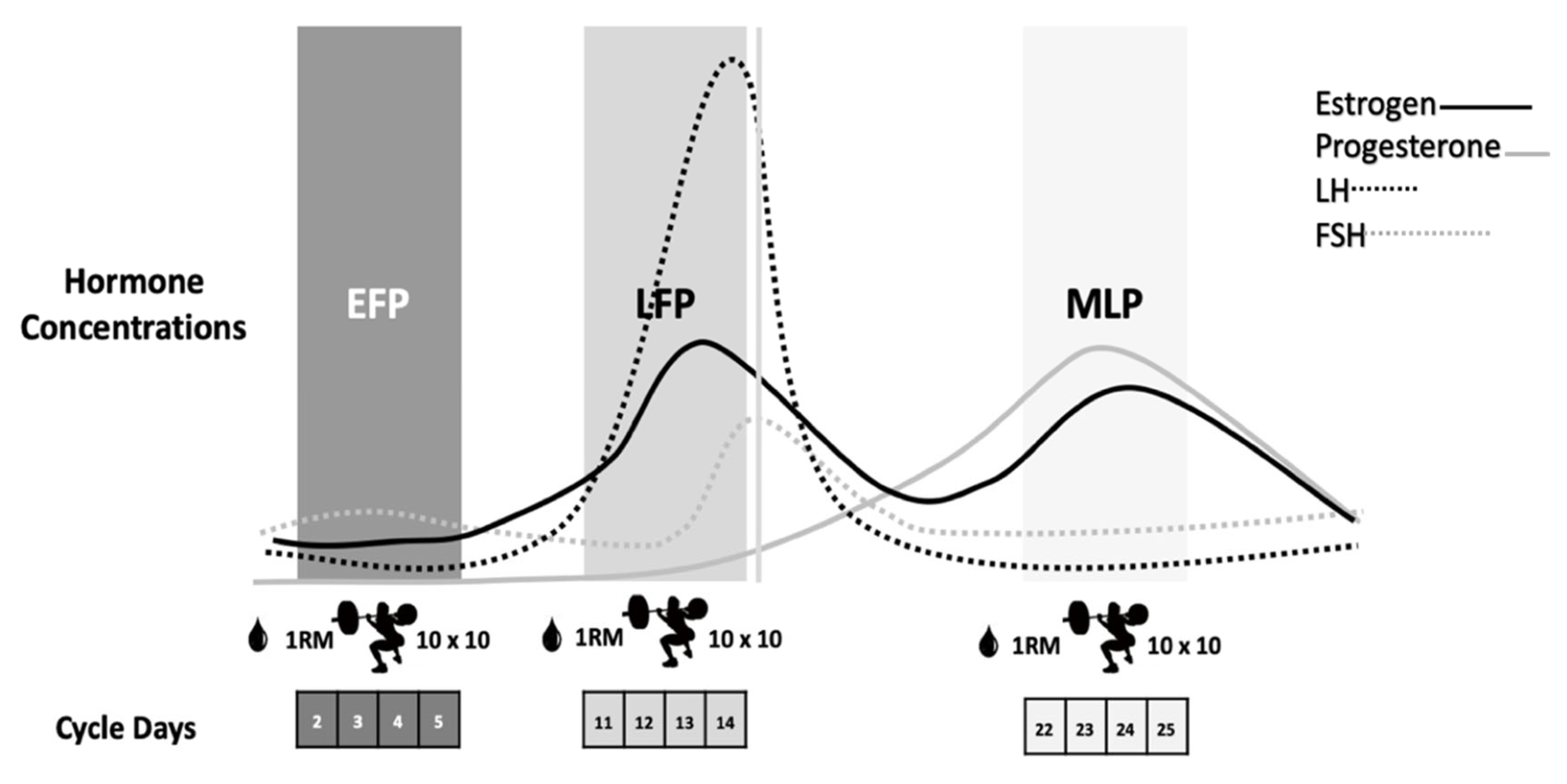 Luteal Phase Calculator - Calculator Academy