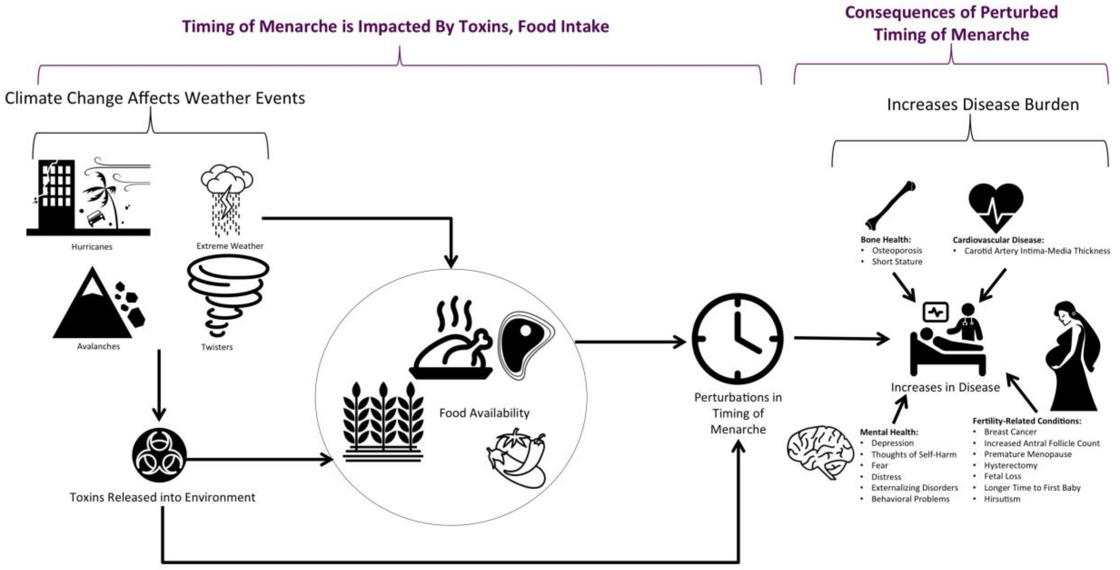 Ijerph Free Full Text A Systematic Literature Review Of Factors Affecting The Timing Of Menarche The Potential For Climate Change To Impact Women S Health Html