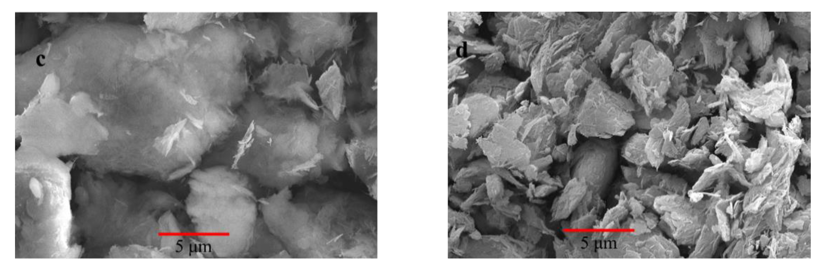 Ijerph 17 01732 g003