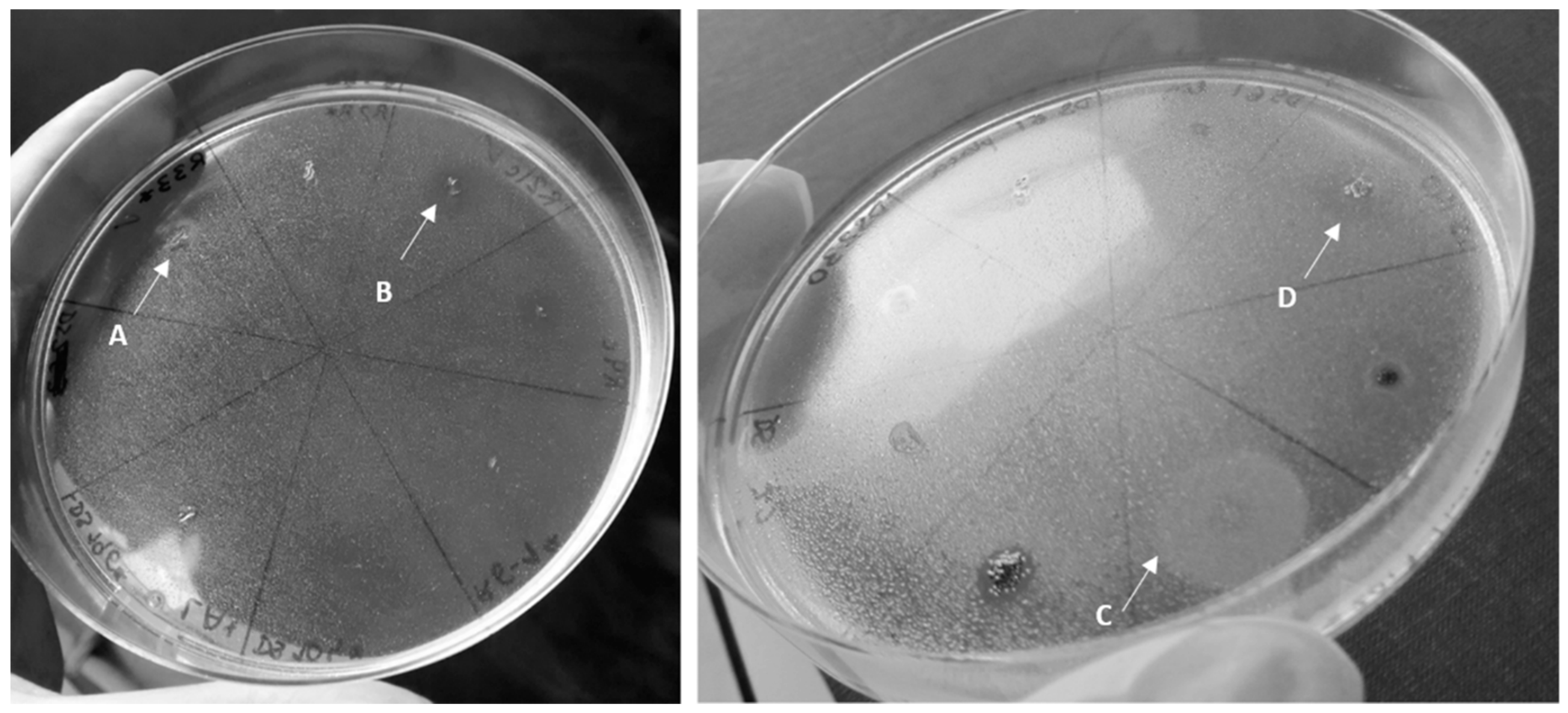 Ijerph 17 01746 g002 Ijerph 17 01746 g002