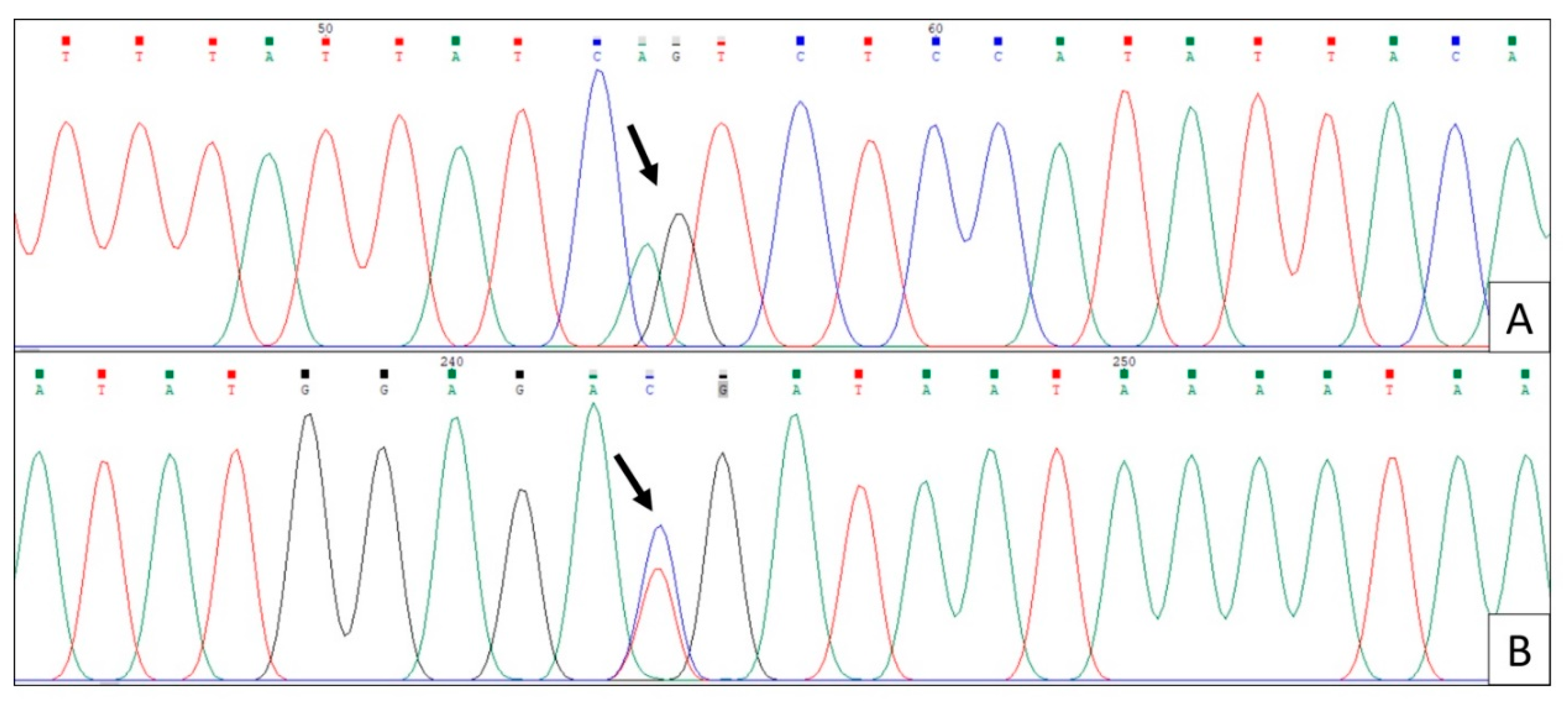 Ijerph 17 01832 g002