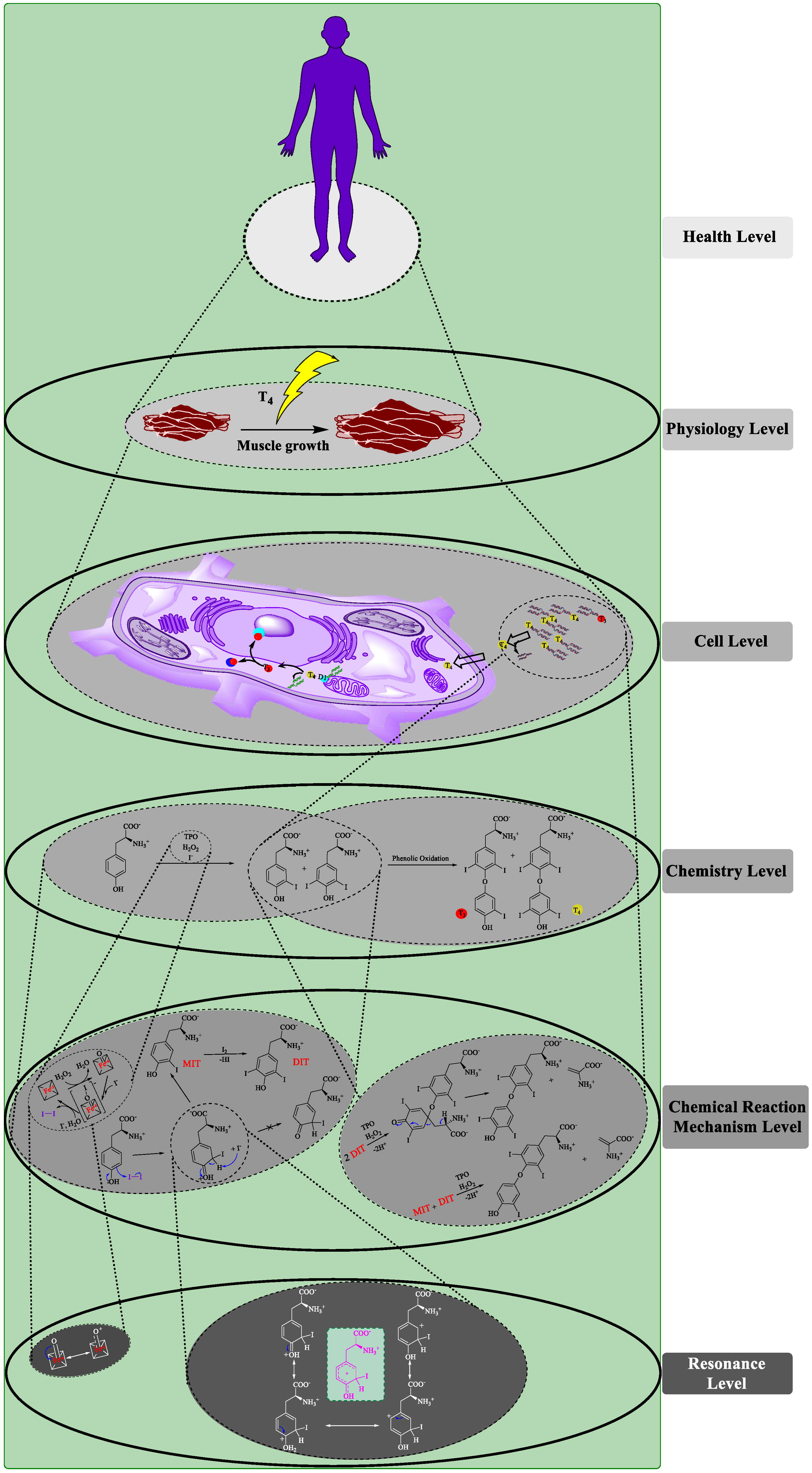 Ijerph 17 01833 g008