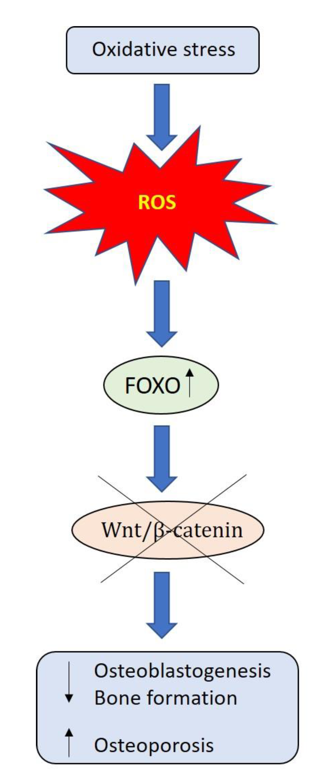 Ijerph 17 01862 g002