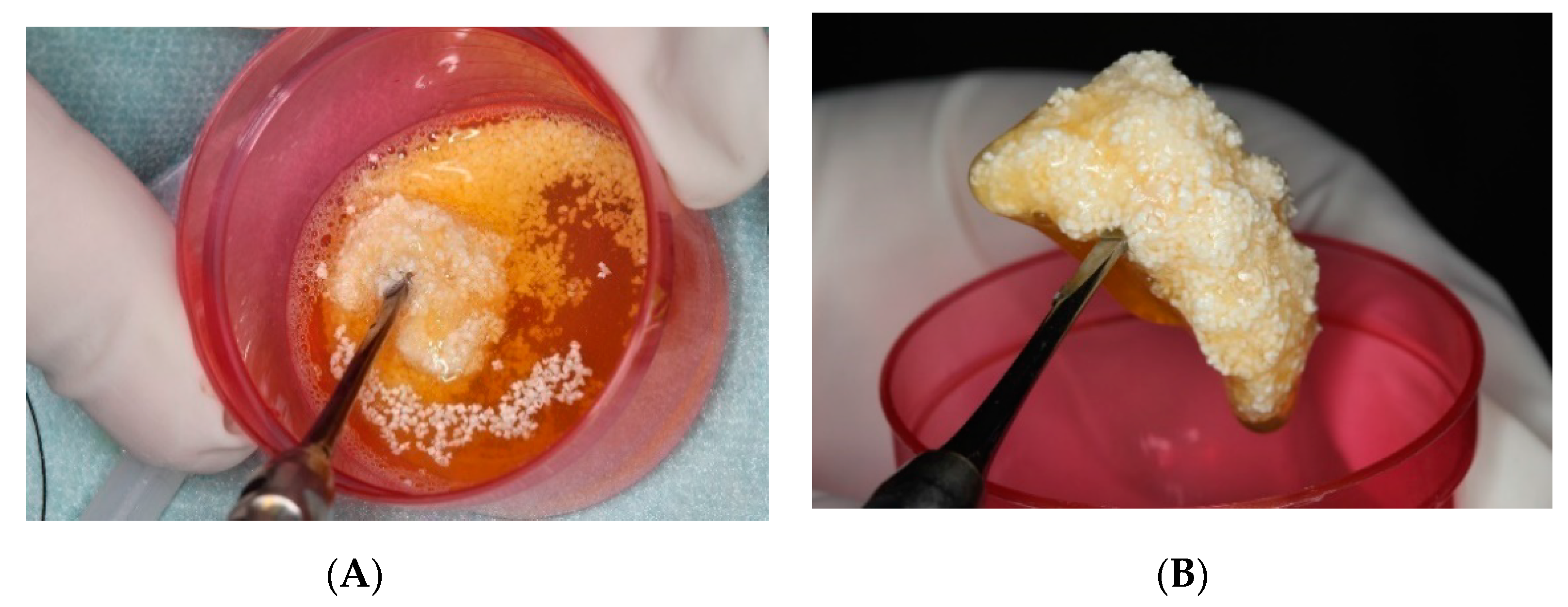 Ijerph 17 01918 g003