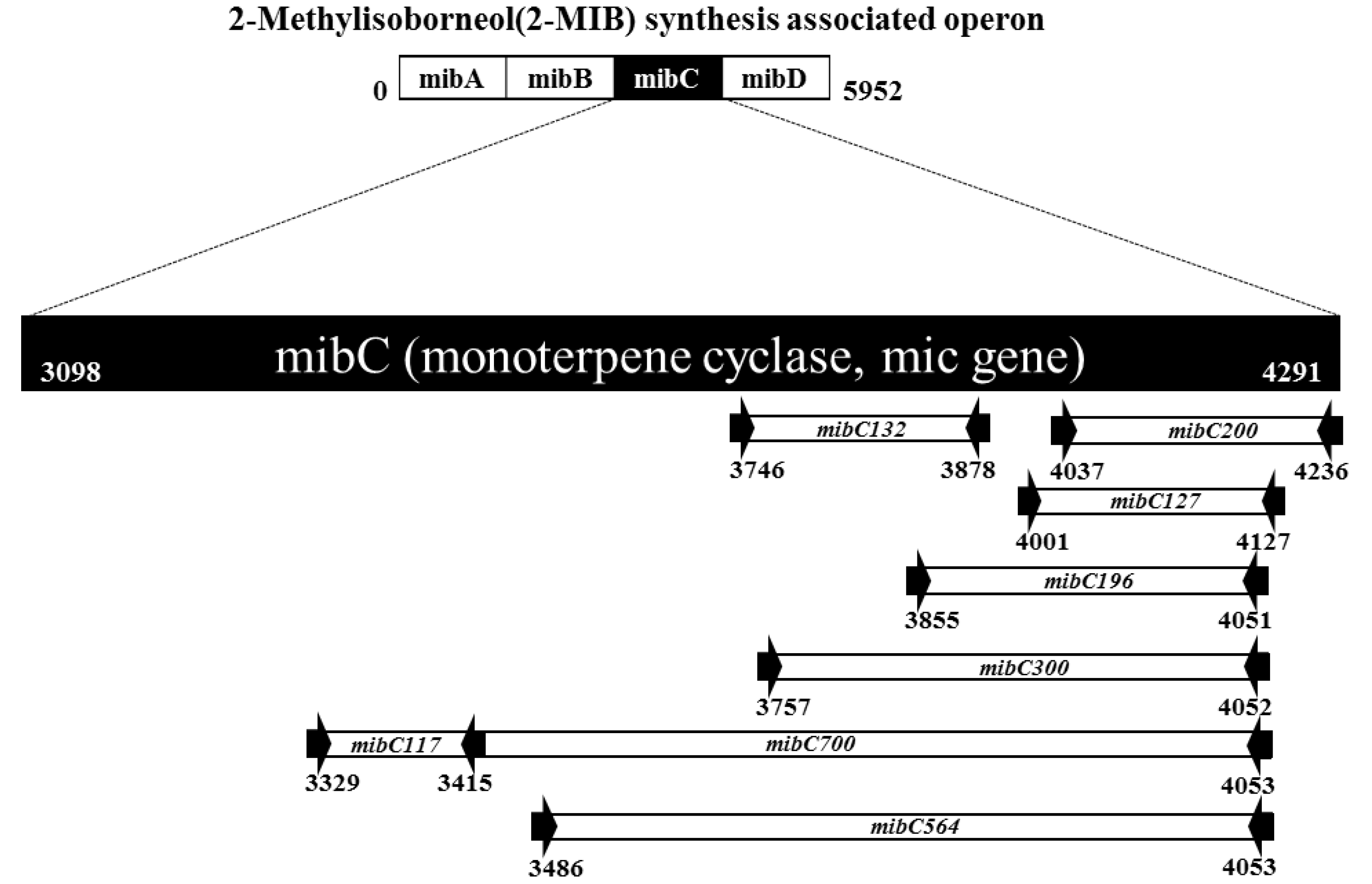 Ijerph 17 01933 g001