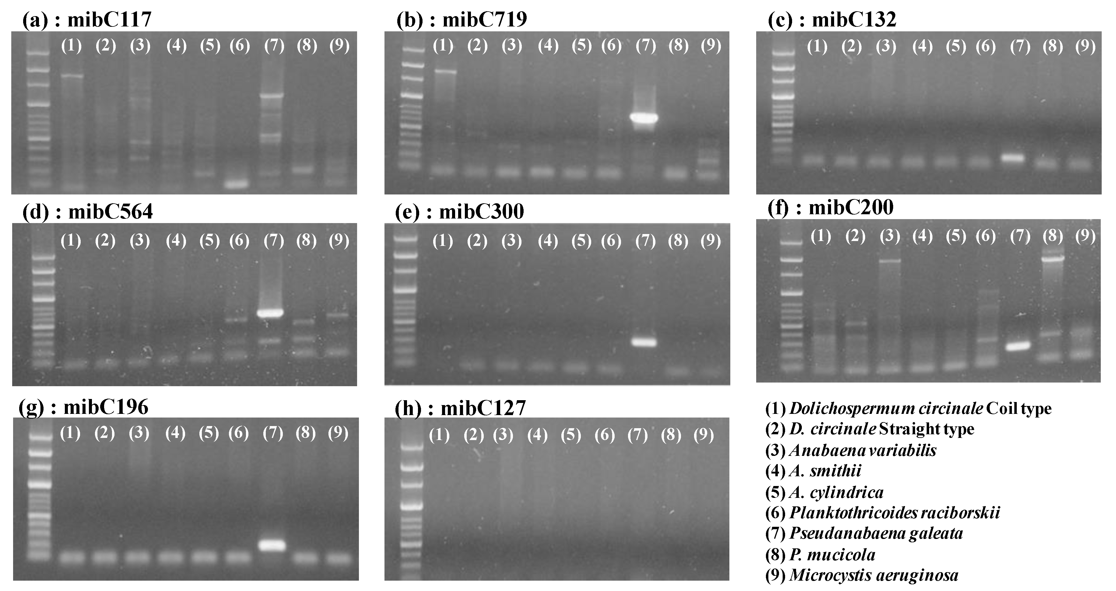 Ijerph 17 01933 g002