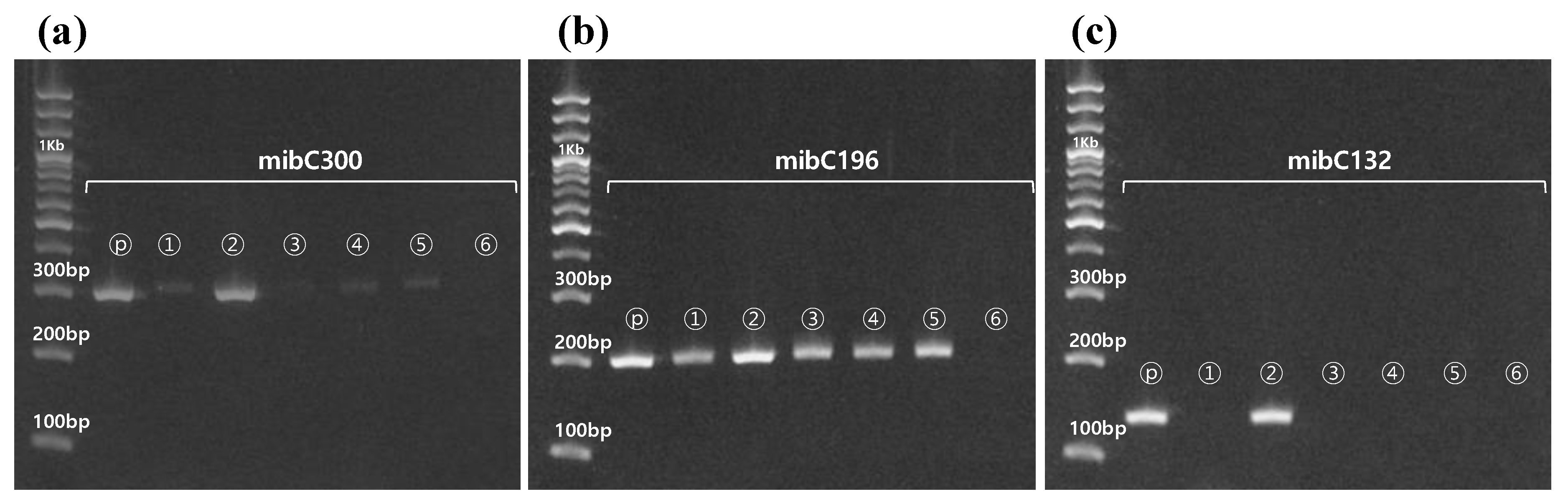 Ijerph 17 01933 g003