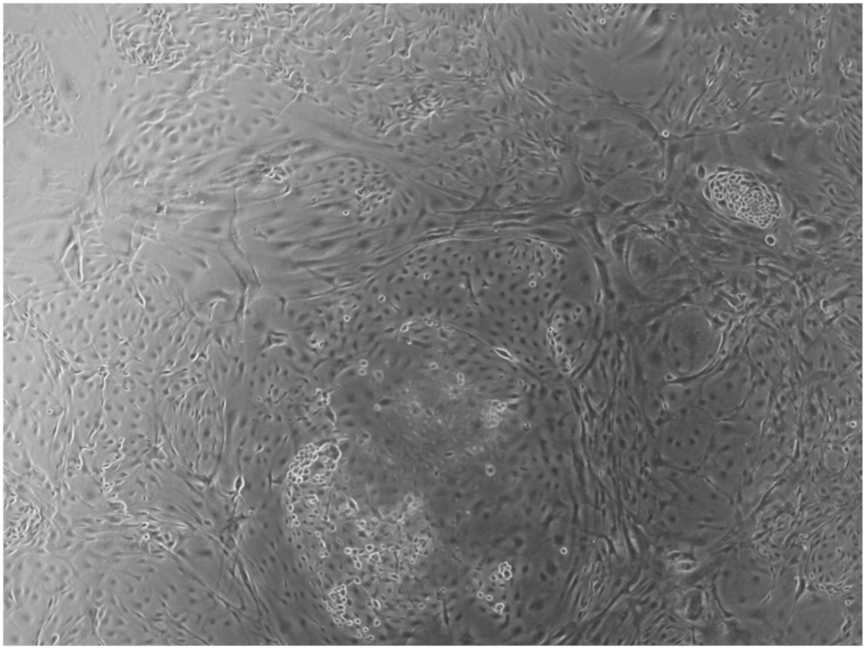 Ijerph 17 01947 g005 Ijerph 17 01947 g005