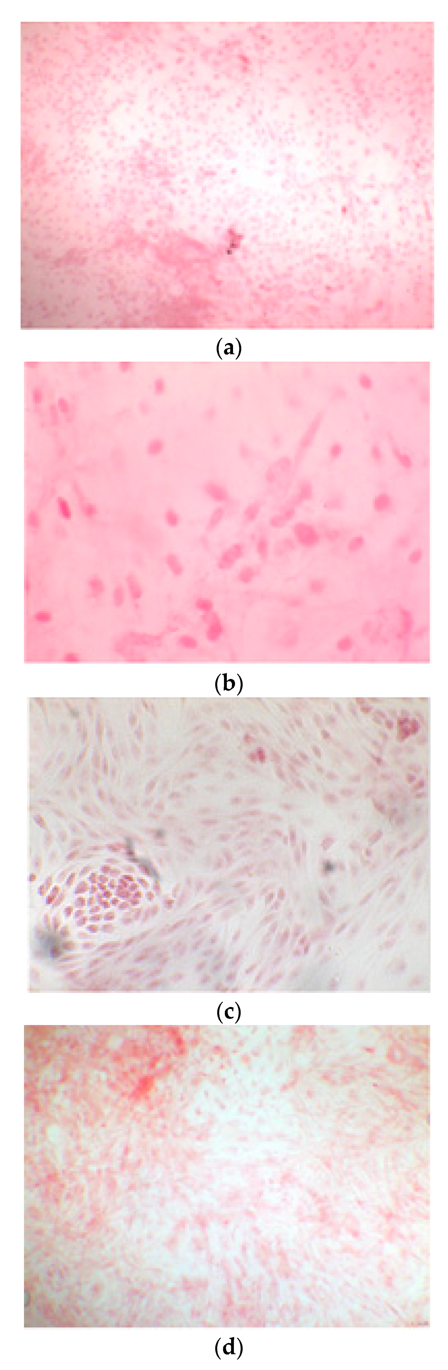 Ijerph 17 01947 g008a Ijerph 17 01947 g008a