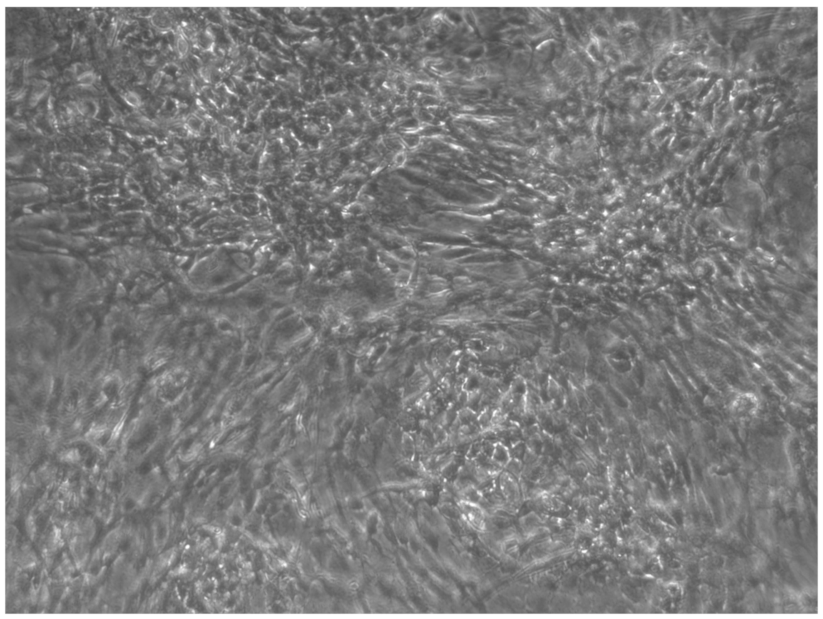 Ijerph 17 01947 g010 Ijerph 17 01947 g010