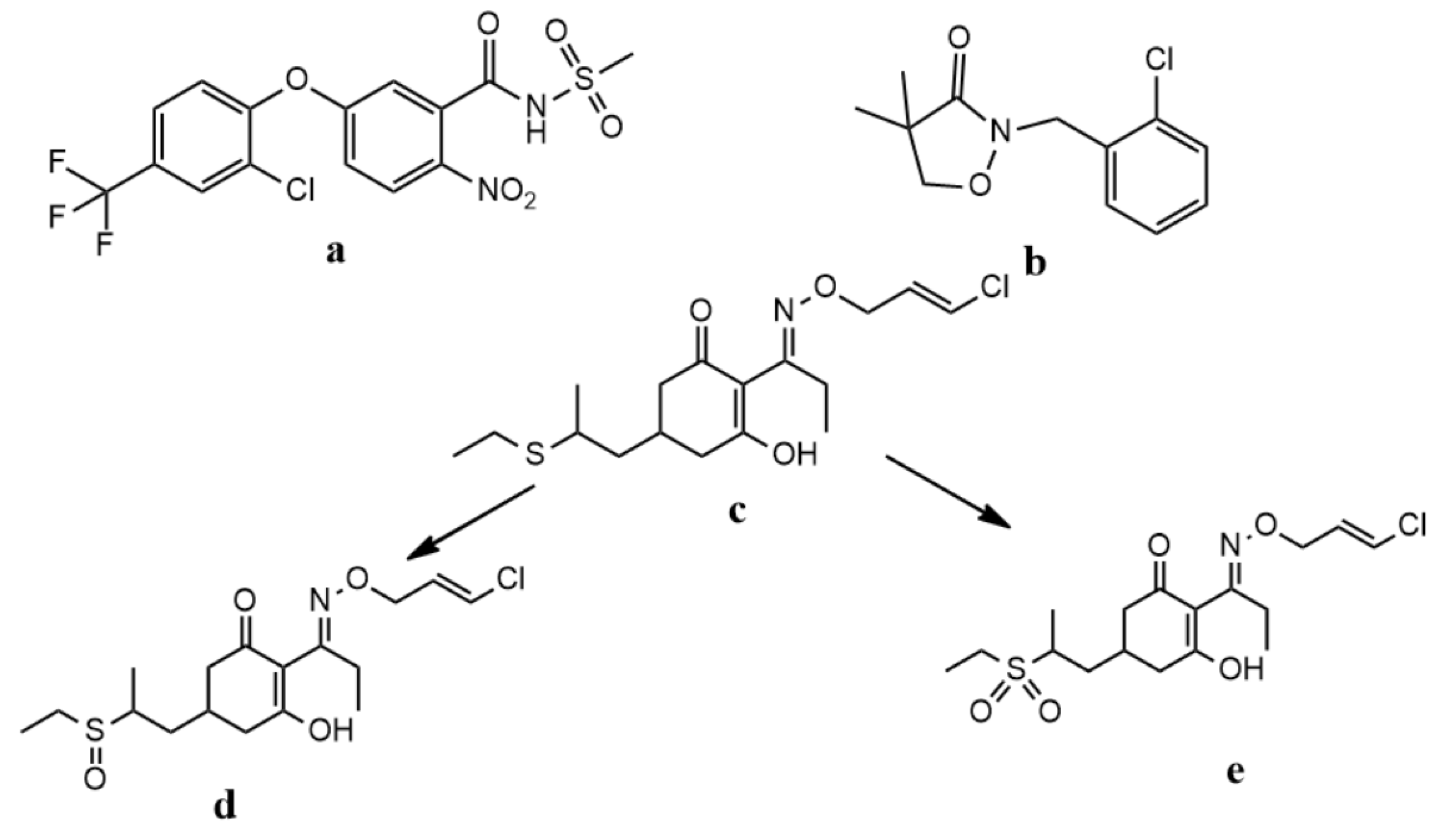 Ijerph 17 01951 g001 Ijerph 17 01951 g001